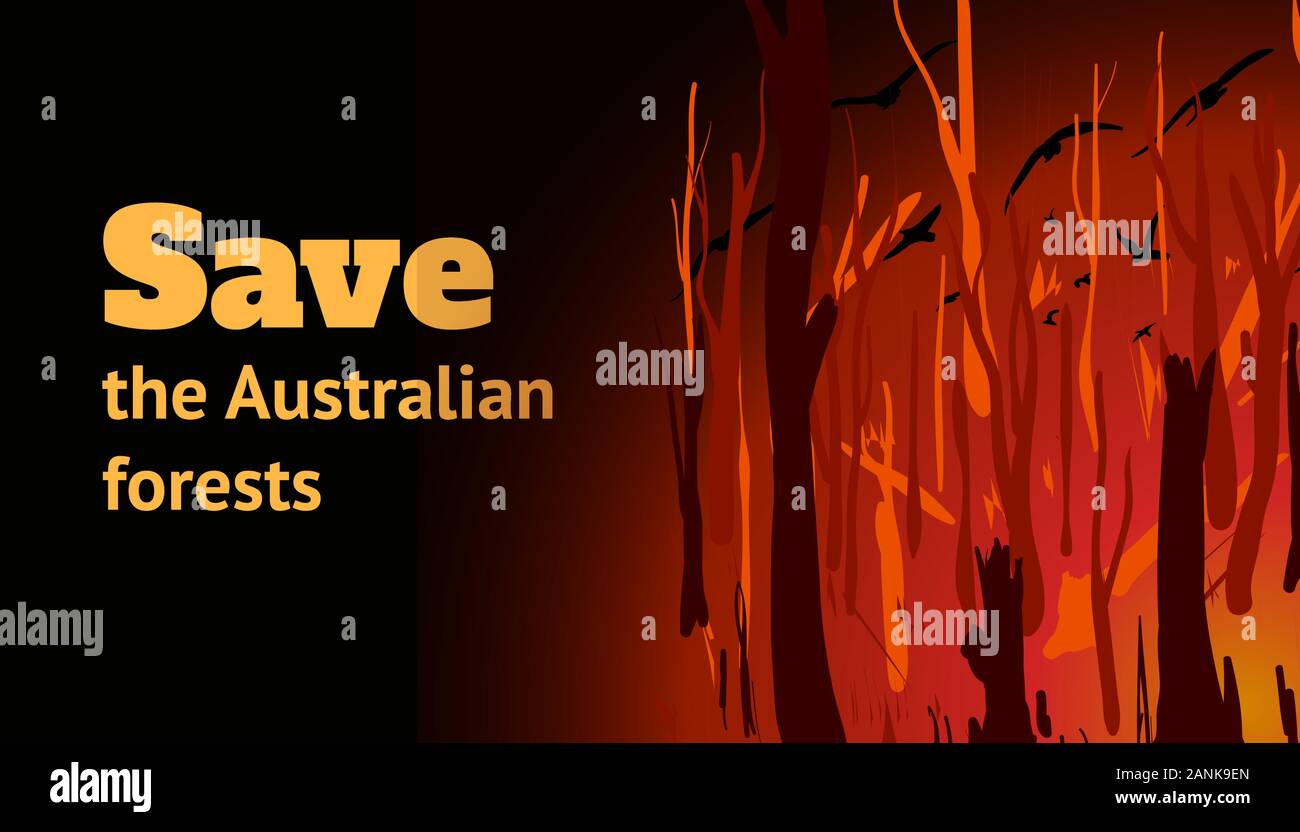 Banner con una foresta di masterizzazione e l'iscrizione salvare le foreste Australiano. Fumetto illustrazione vettoriale. Illustrazione Vettoriale