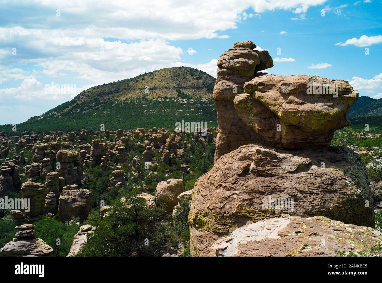 Chiricahua National Monument paesaggio con formazioni rocciose in Arizona, Stati Uniti Foto Stock