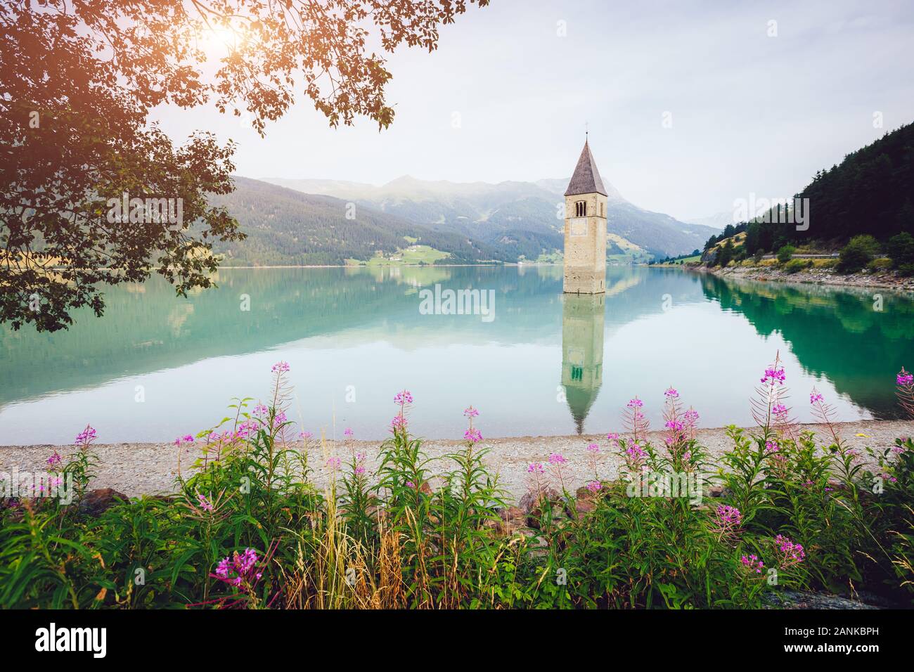 Il vecchio campanile di Curon Venosta chiesa che sorge fuori delle acque del lago di Resia, Curon Venosta im village, Trentino-Alto Adige Regione dell'Italia, UE Foto Stock