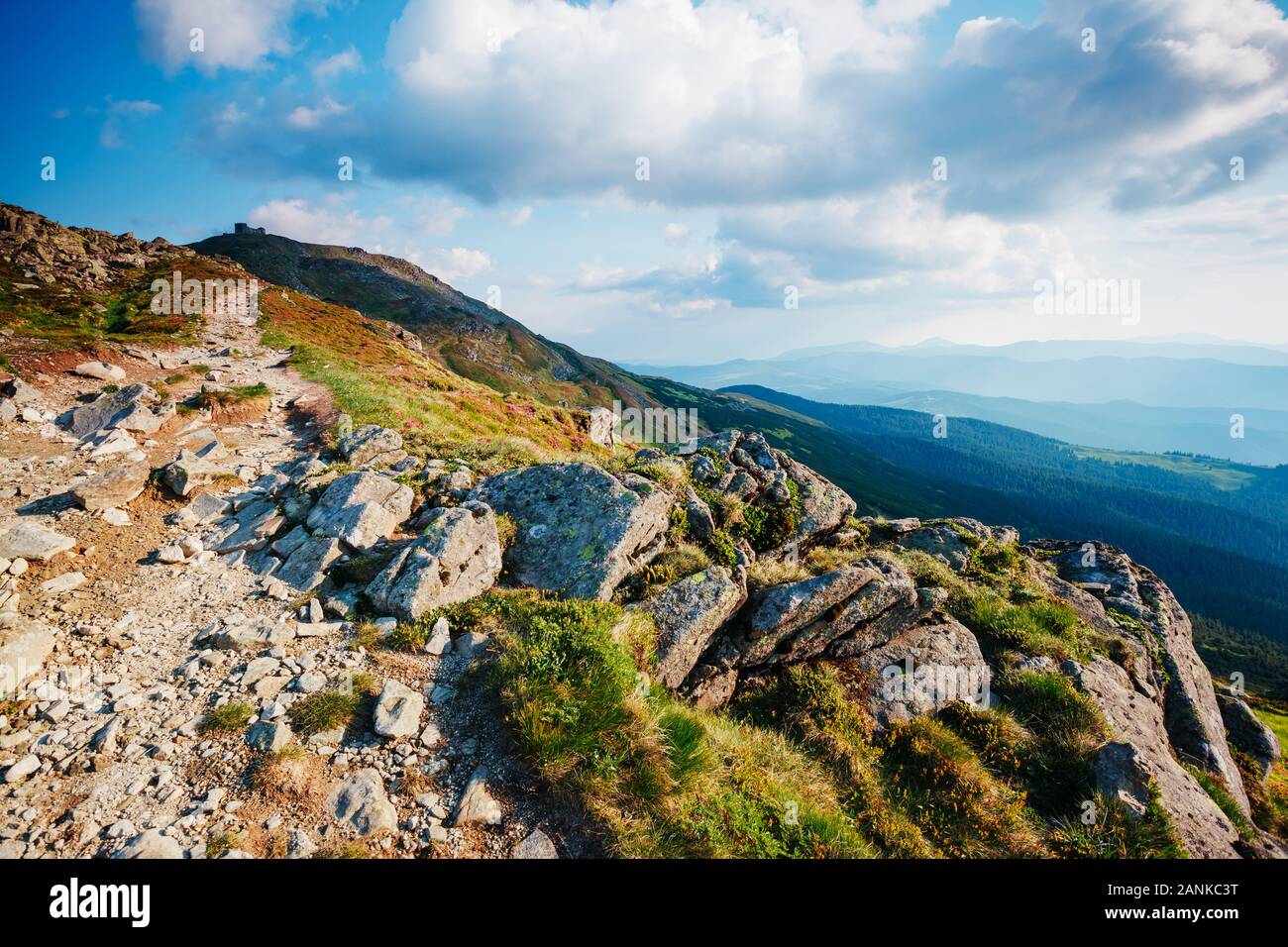 Stupenda scena della valle alpina in presenza di luce solare. Il pittoresco giorno. Ubicazione Posto Carpazi Ucraina, l'Europa. Splendida immagine di sfondo. Eccellente o Foto Stock