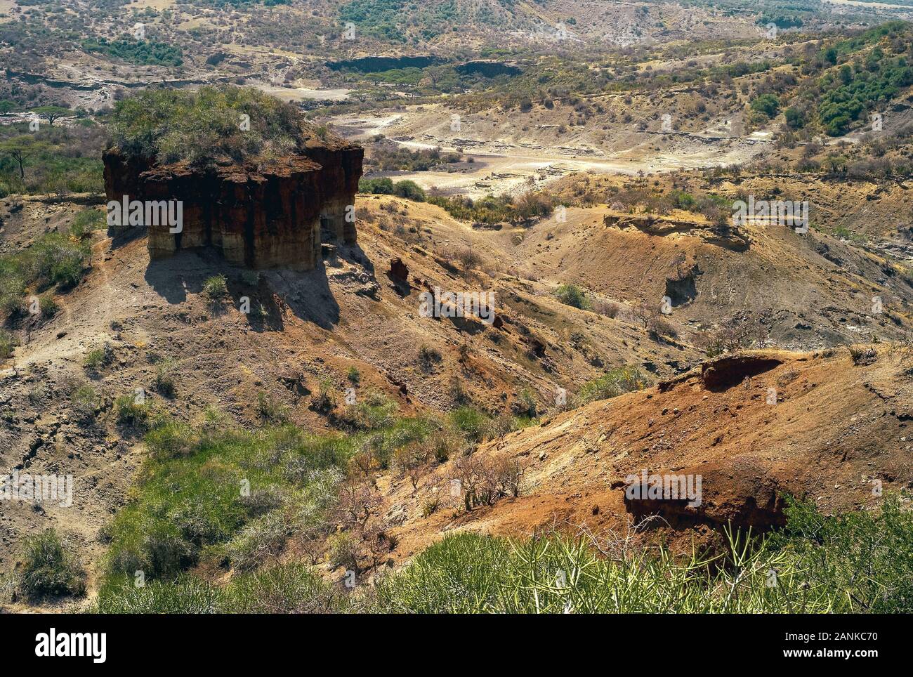 Gola di Olduvai Vista panoramica nella Grande Rift Valley, Tanzania Africa Orientale. Un importante sito Paleoanthropological. Foto Stock