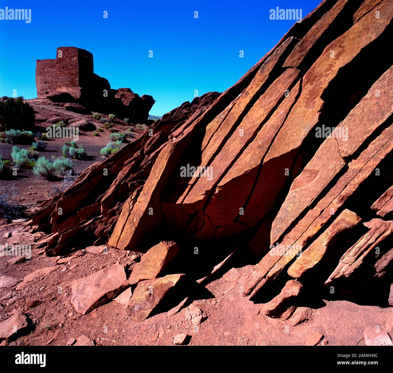 Quelli antichi Nr. 2 monumento di Wupatki N. Arizona, Stati Uniti d'America Foto Stock