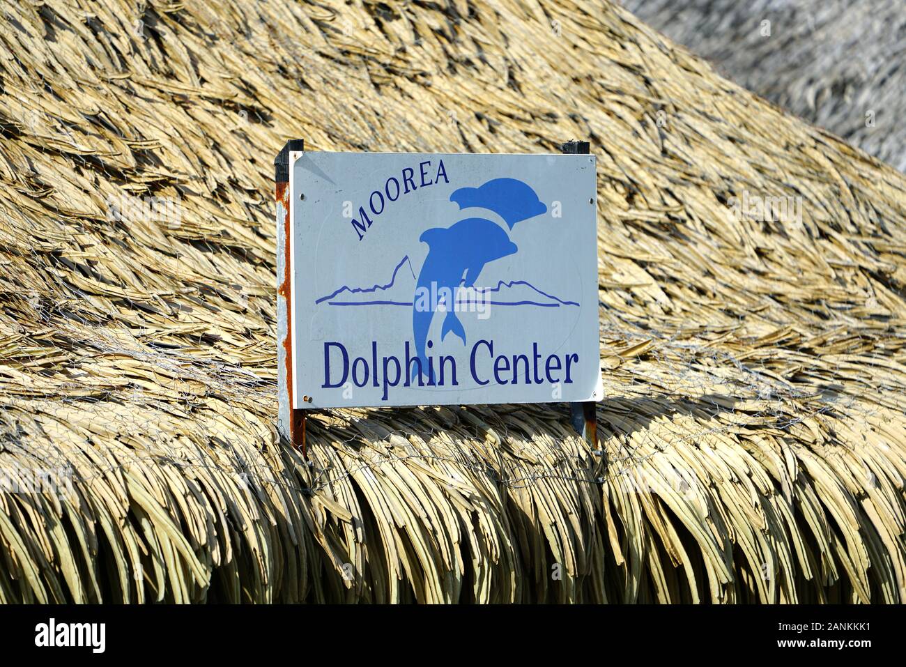 MOOREA, Polinesia francese -30 NOV 2018- Vista della Moorea Dolphin Center presso l'Intercontinental Moorea Lagoon Resort and Spa Moorea sulla laguna in Foto Stock