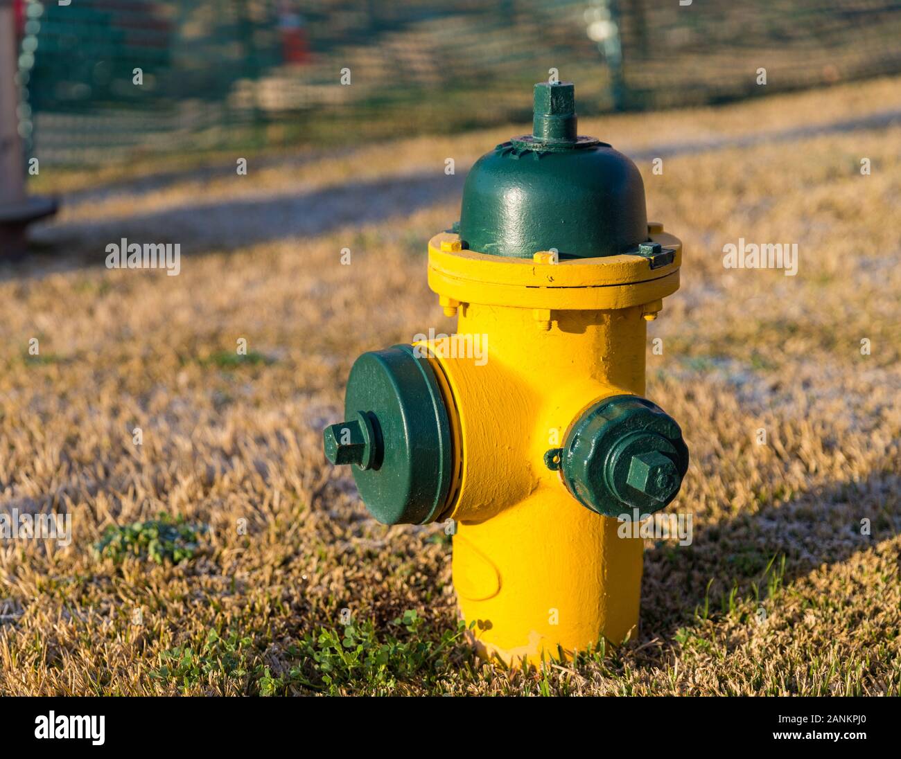 Colorato di giallo e verde idrante di fuoco utilizzato per alimentare ad alto volume di acqua Foto Stock