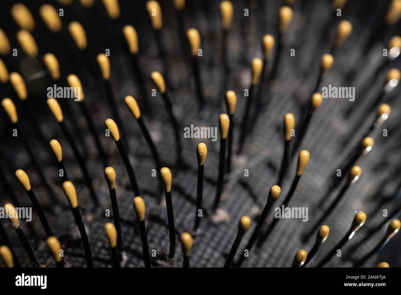 Immagine macro di un bene usato spazzola per capelli con alcune setole danneggiato e alcuni ciuffi di capelli e lanugine Foto Stock