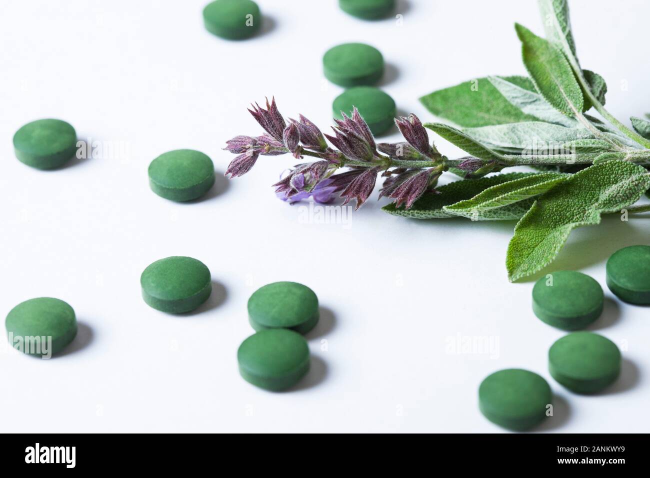 Impianto di salvia e pillole di verde Foto Stock