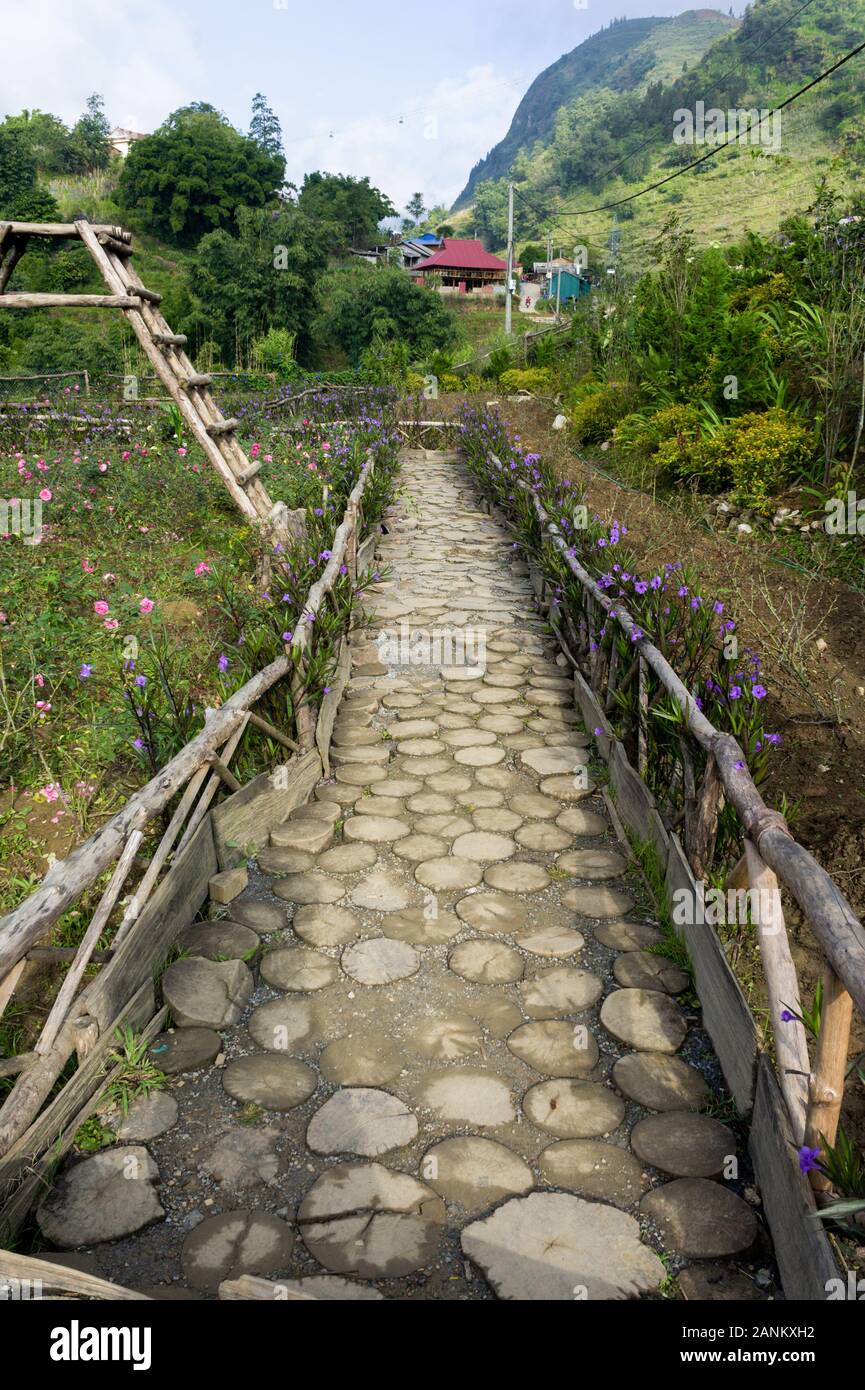 Il percorso nel giardino del legno rotondo. Texture di legno. Nel parco per proteggere le piante da gente camminare a piedi attraverso il giardino fiorito. Foto Stock