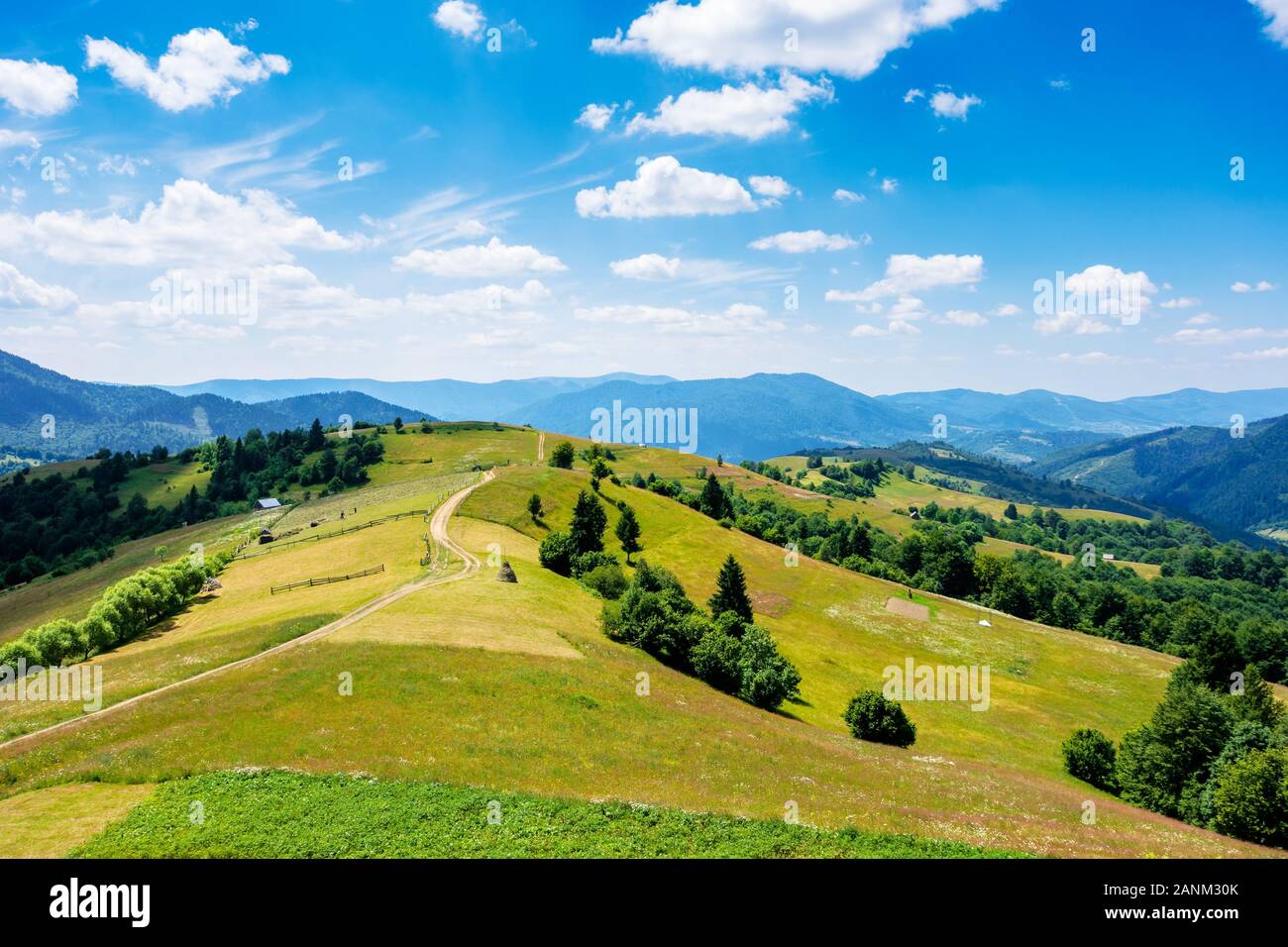 Montagna paesaggio rurale in estate. paese avvolgimento percorso off nel lontano ridge. dolci colline con campi in erba e prati. calma weat soleggiato Foto Stock