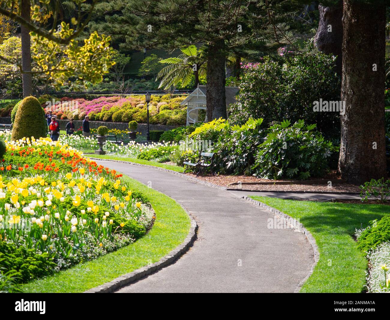 Percorso oltre il tempo primaverile Tulipcs In Wellington Botanic Garden Foto Stock