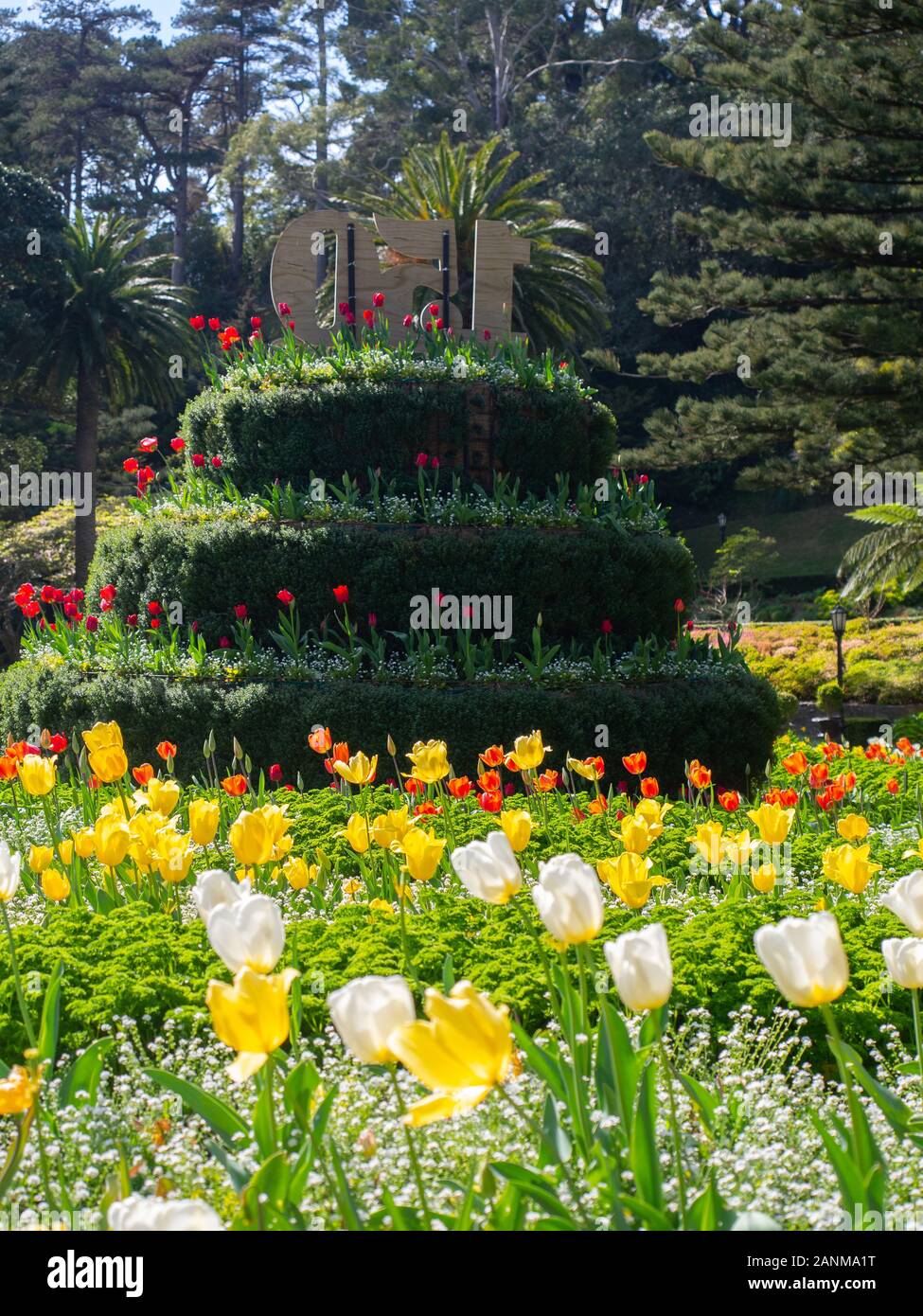 Tempo di primavera tulipani In Wellington Botanic Garden Foto Stock