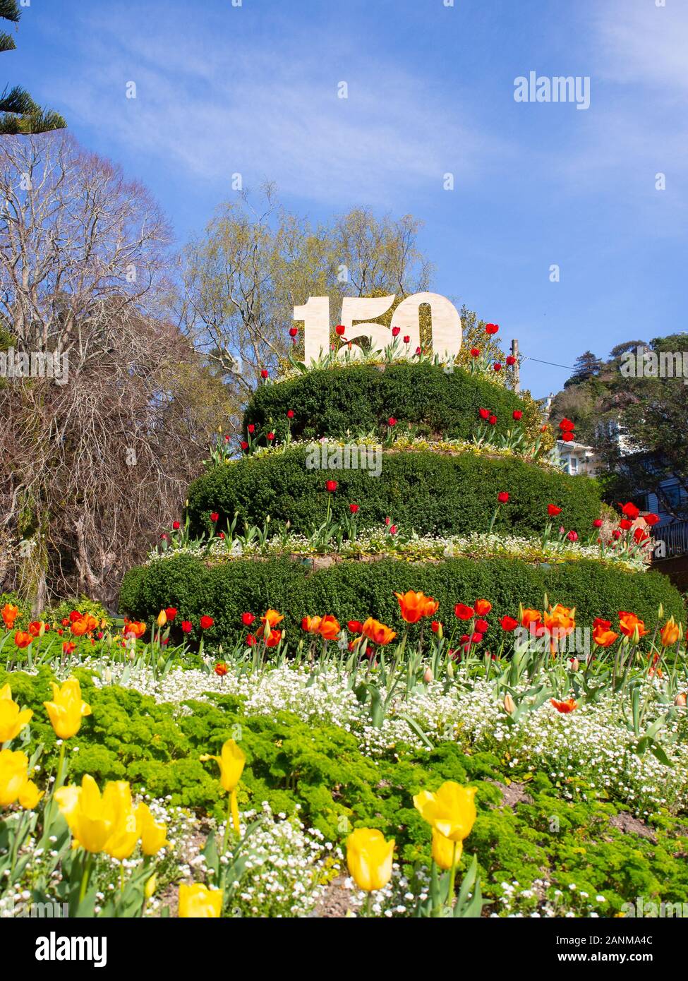 150 tulipani anno anniversario in Wellington Botanic Garden Foto Stock