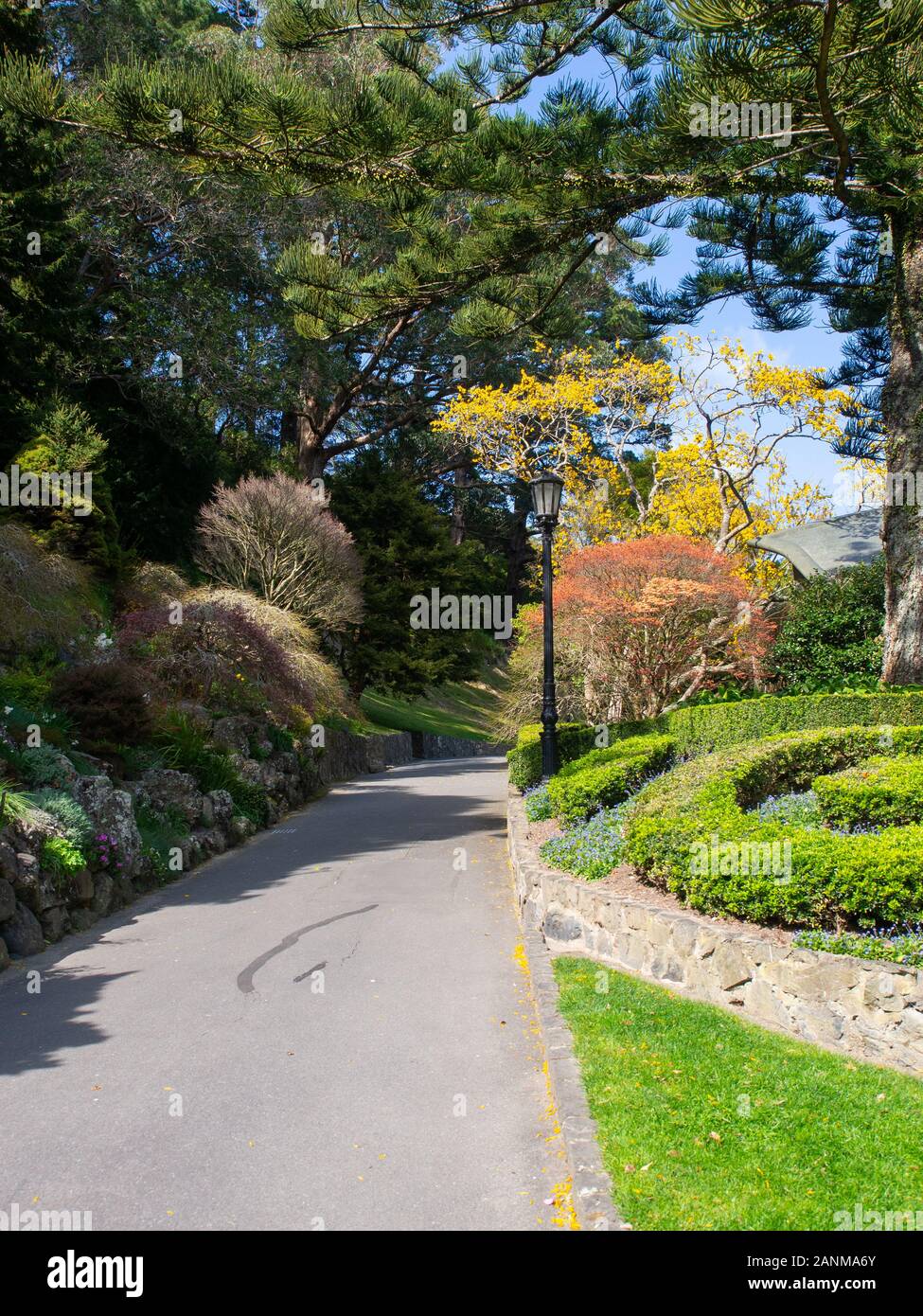 Il tempo primaverile in Wellington Botanic Garden Foto Stock