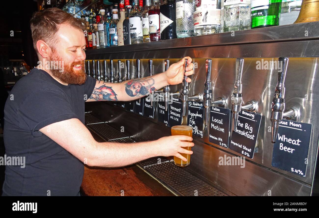Barman sorridenti tirando una pinta, in una birra artigianale bar, con molti la birra artigianale rubinetti, Edimburgo, Scozia, Regno Unito Foto Stock