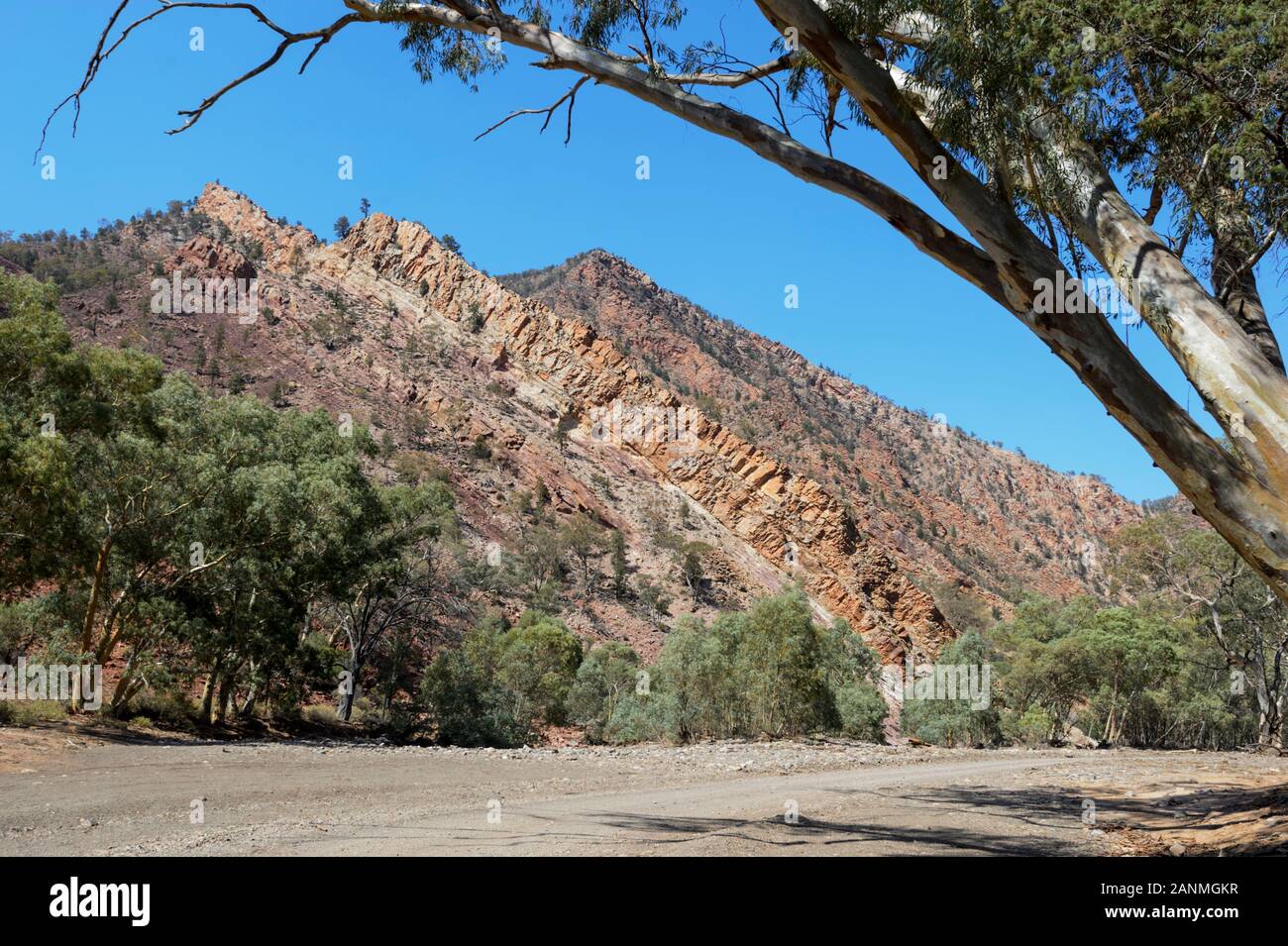 Incredibili formazioni rocciose in Brachina Gorge, gamme Ikara-Flinders National Park, Sud Australia, Australia Foto Stock