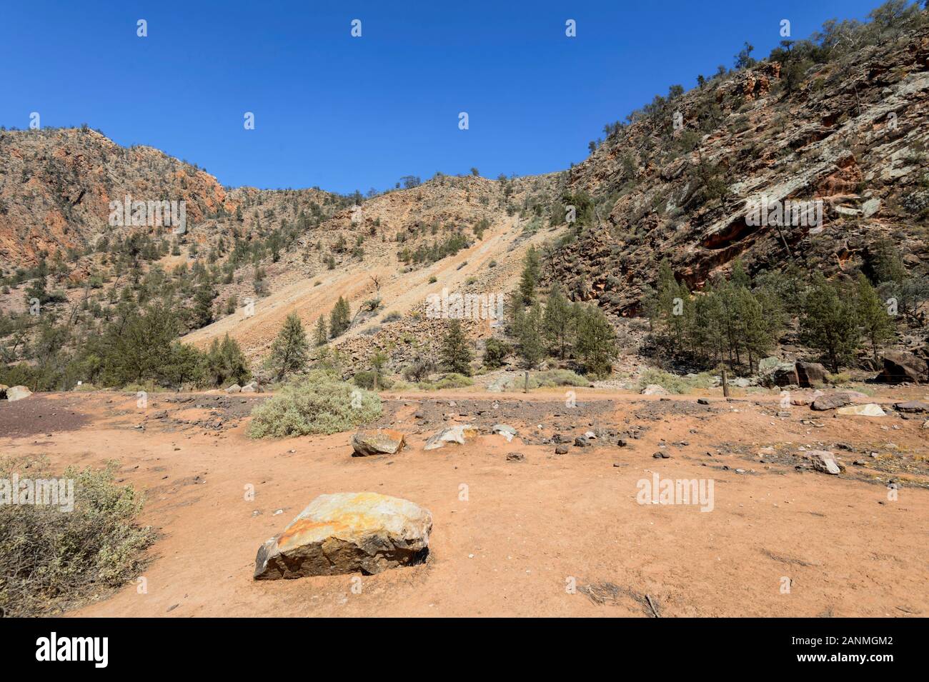 Frana in scenic popolare Brachina Gorge, gamme Ikara-Flinders National Park, Sud Australia, Australia Foto Stock