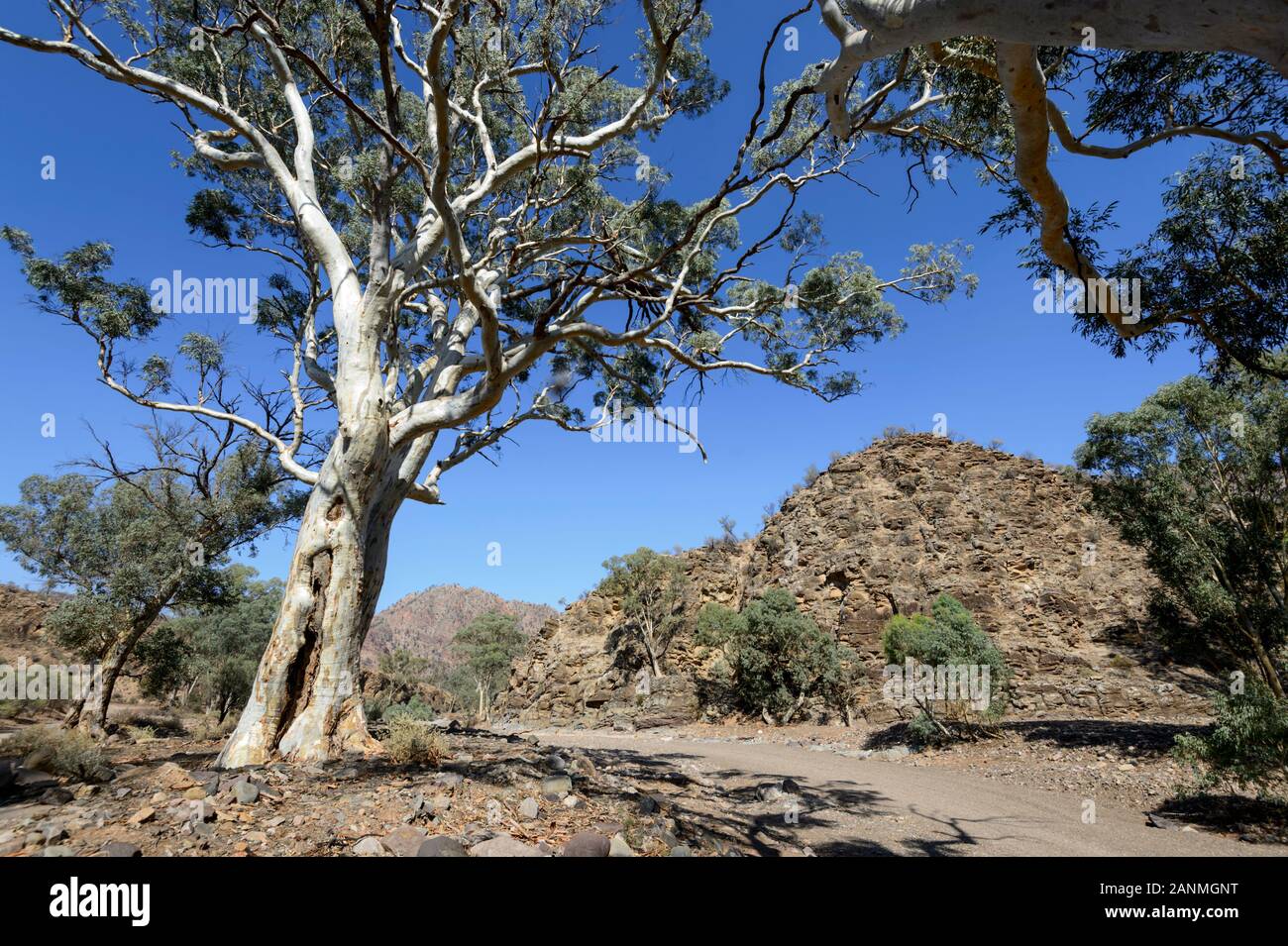 Vista panoramica di Brachina Gorge, gamme Ikara-Flinders National Park, Sud Australia, Australia Foto Stock