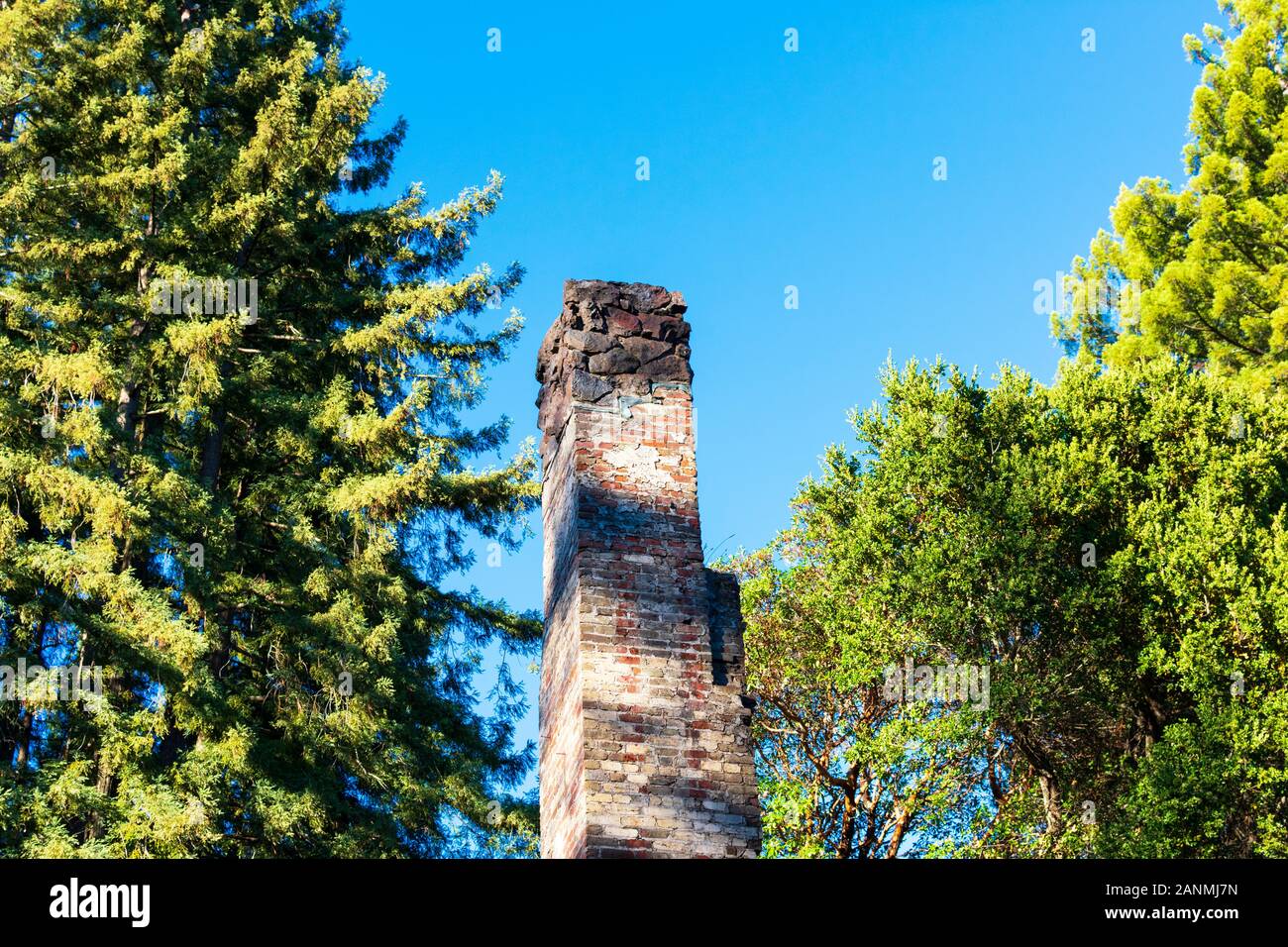Alto edificio rosso mattone weathered camino circondato da una fitta foresta di alberi. Foto Stock