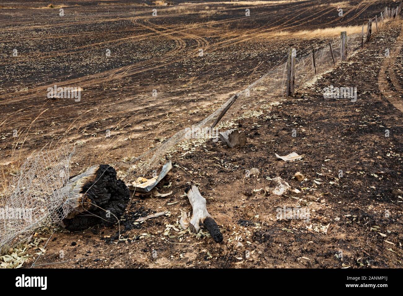 Lexton Australia / postumi di bushfires in Lexton Victoria Australia. La recente bushfires Lexton circostante in Victoria rurale bruciato oltre 2700 hec Foto Stock