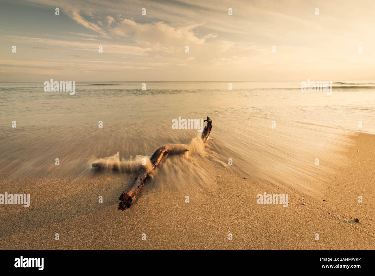Soft paesaggi acquatici con bastone sul primo piano, realizzato su una lunga esposizione otturatore. Foto Stock