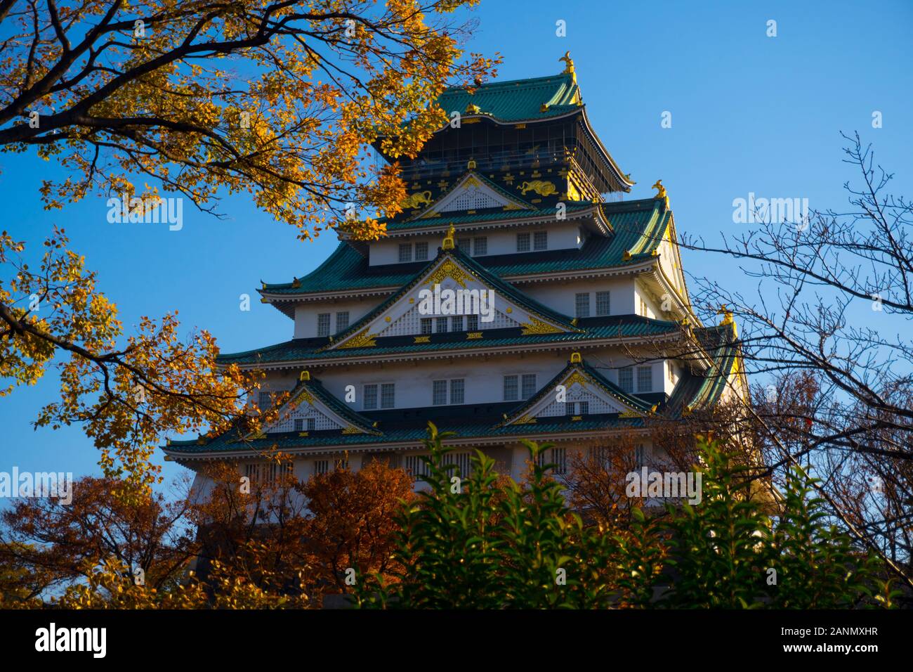 Paesaggio del Castello di Osaka in autunno, Medium Shot, Vista sul livello degli occhi Foto Stock