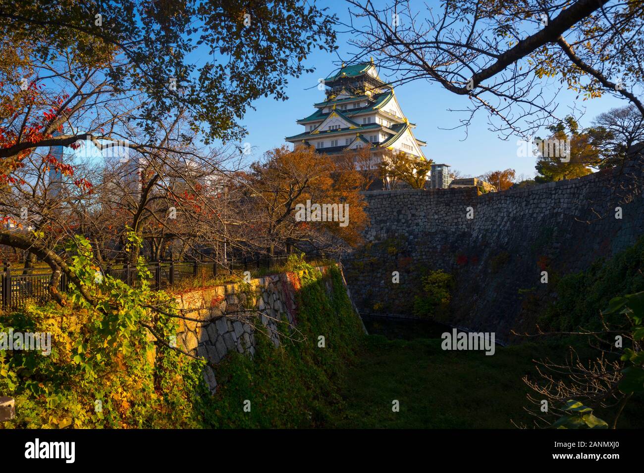 Paesaggio del Castello di Osaka in autunno, Long Shot, Vista del livello degli occhi Foto Stock