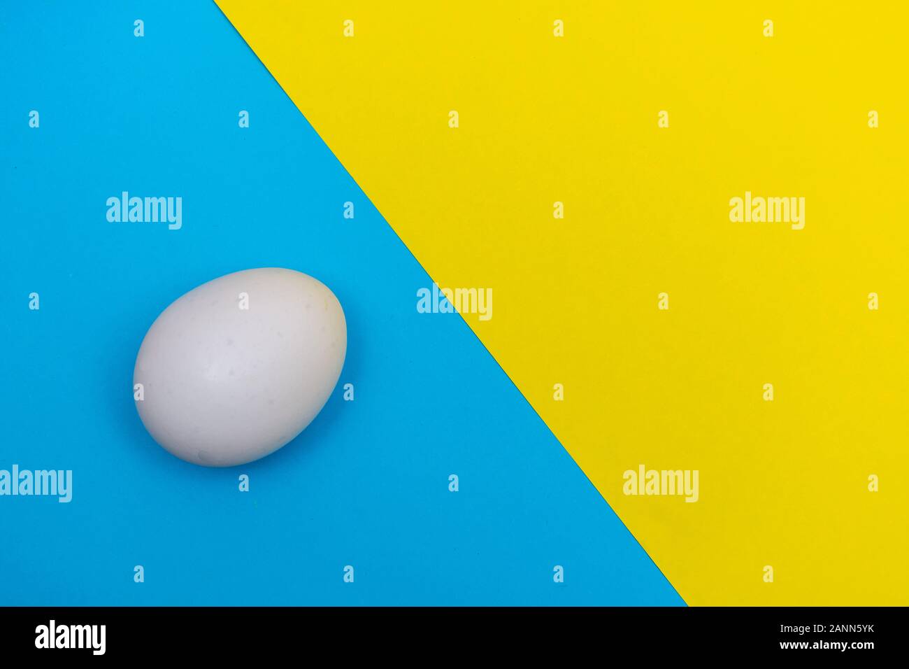 Vacanze di Pasqua laici piatta con uovo bianco su di un solido di colore blu chiaro e giallo vivace sfondo con copia spazio. Foto Stock