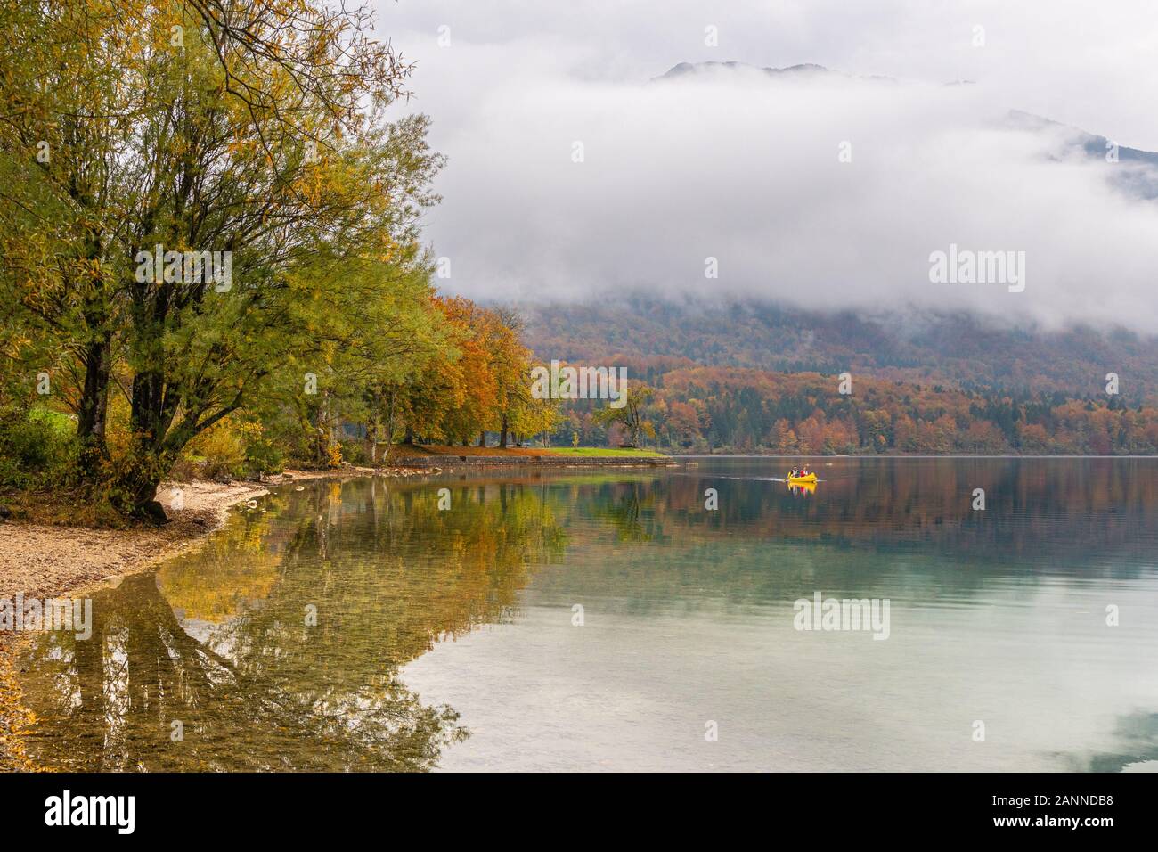 Giallo autunno gli alberi si riflette nel lago di Bohinj su una bella giornata. I turisti vanno per la gita in canoa. I viaggiatori kayak verso la riva Foto Stock