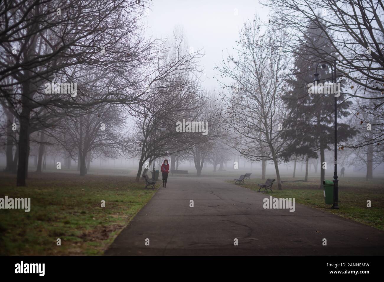Vista panoramica di un percorso attraverso il bel parco pubblico di Izvor in una nebbiosa mattina d'inverno. Parco Izvor dal centro di Bucarest, Romania, 2020 Foto Stock
