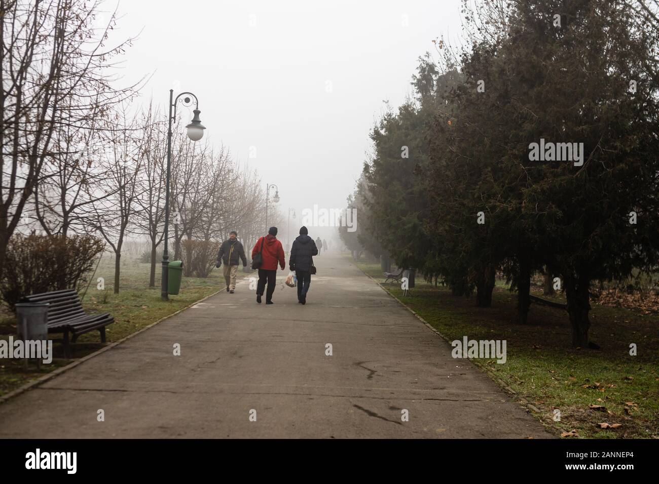 Vista panoramica di un percorso attraverso il bel parco pubblico di Izvor in una nebbiosa mattina d'inverno. Parco Izvor dal centro di Bucarest, Romania, 2020 Foto Stock