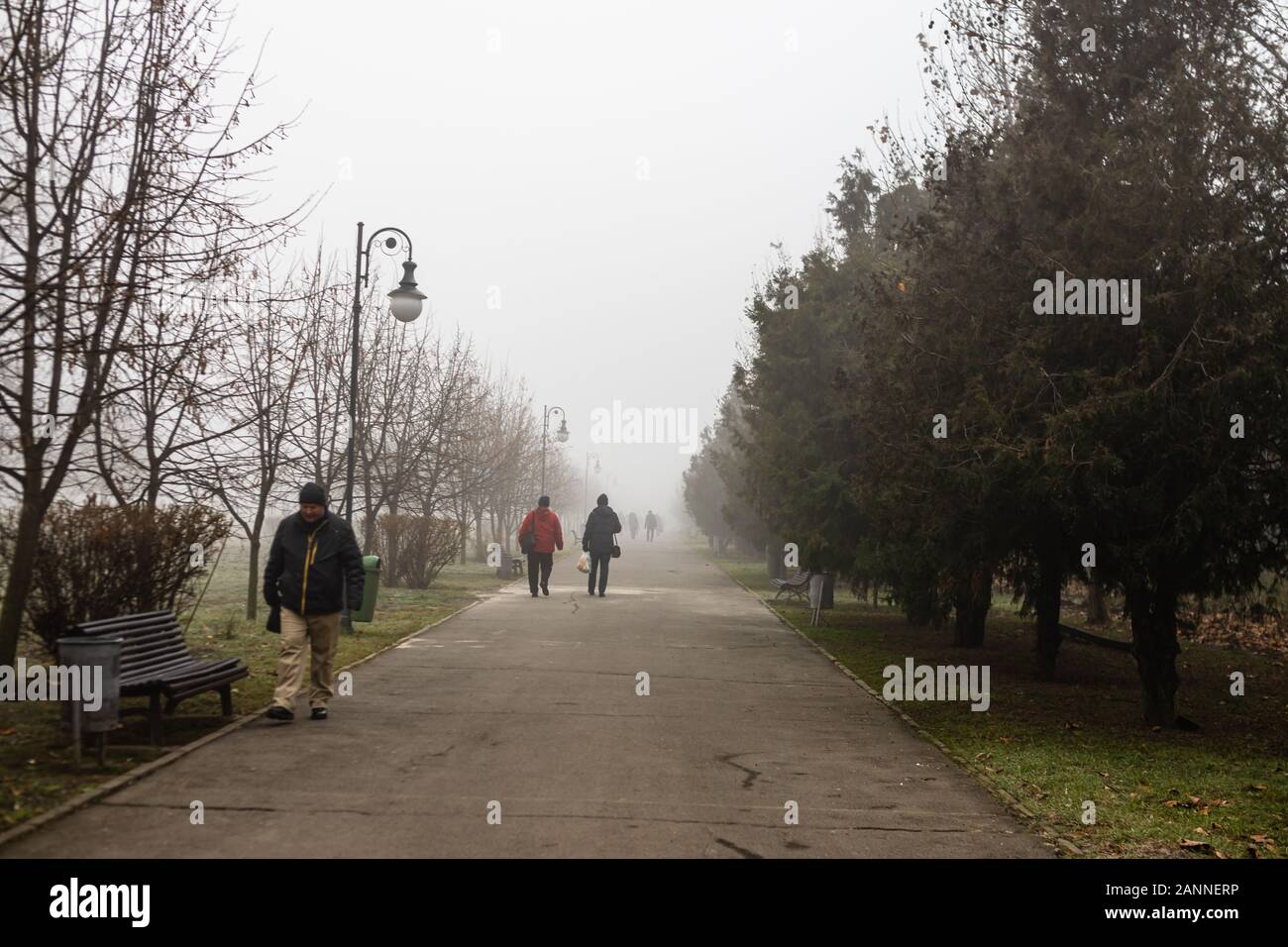 Vista panoramica di un percorso attraverso il bel parco pubblico di Izvor in una nebbiosa mattina d'inverno. Parco Izvor dal centro di Bucarest, Romania, 2020 Foto Stock