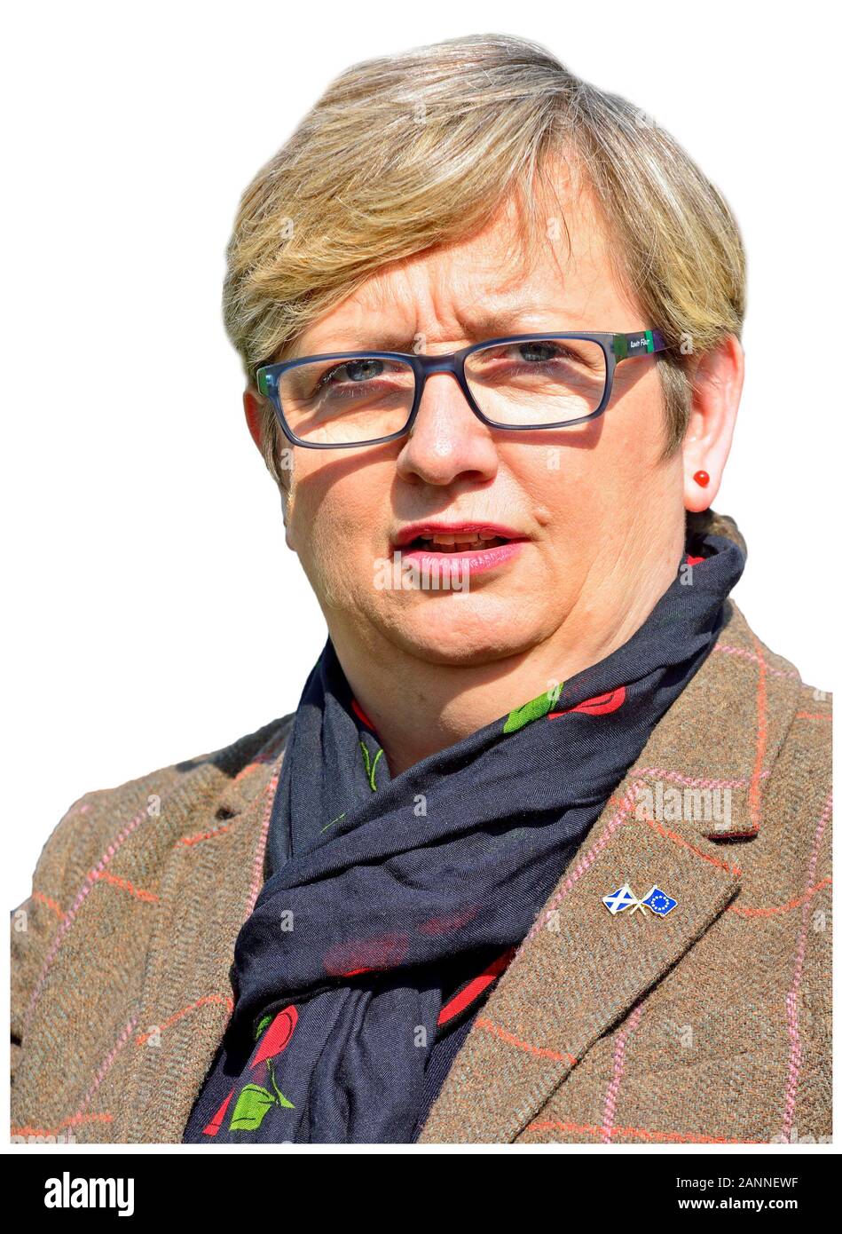 Joanna Cherry MP (SNP: Edimburgo Sud Ovest) SNP la giustizia e gli affari interni portavoce. College Green, Westminster 29 Marzo 2019 Foto Stock