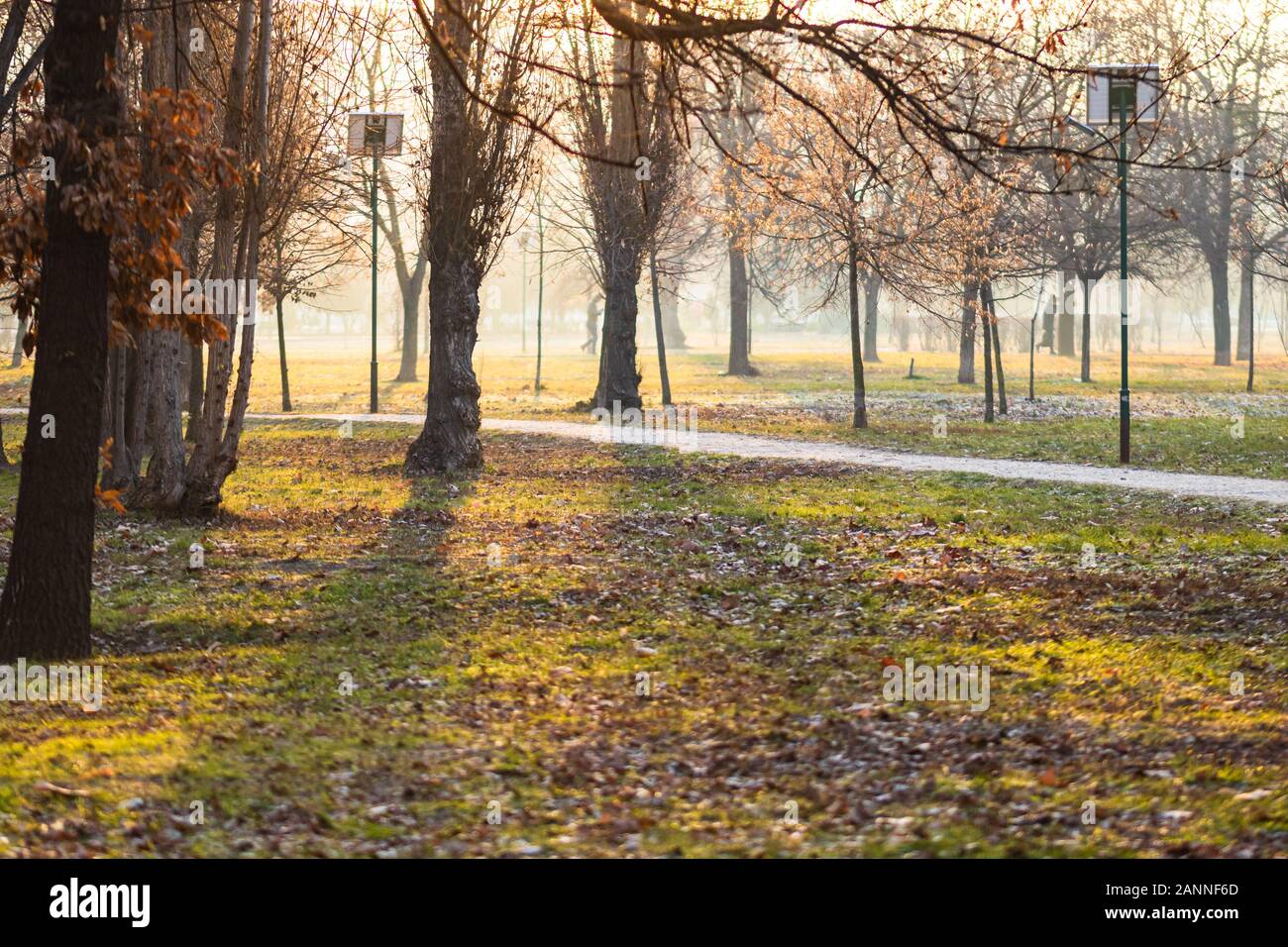 Vista panoramica di un percorso attraverso il bel parco pubblico di Izvor in una nebbiosa mattina d'inverno. Parco Izvor dal centro di Bucarest, Romania, 2020 Foto Stock