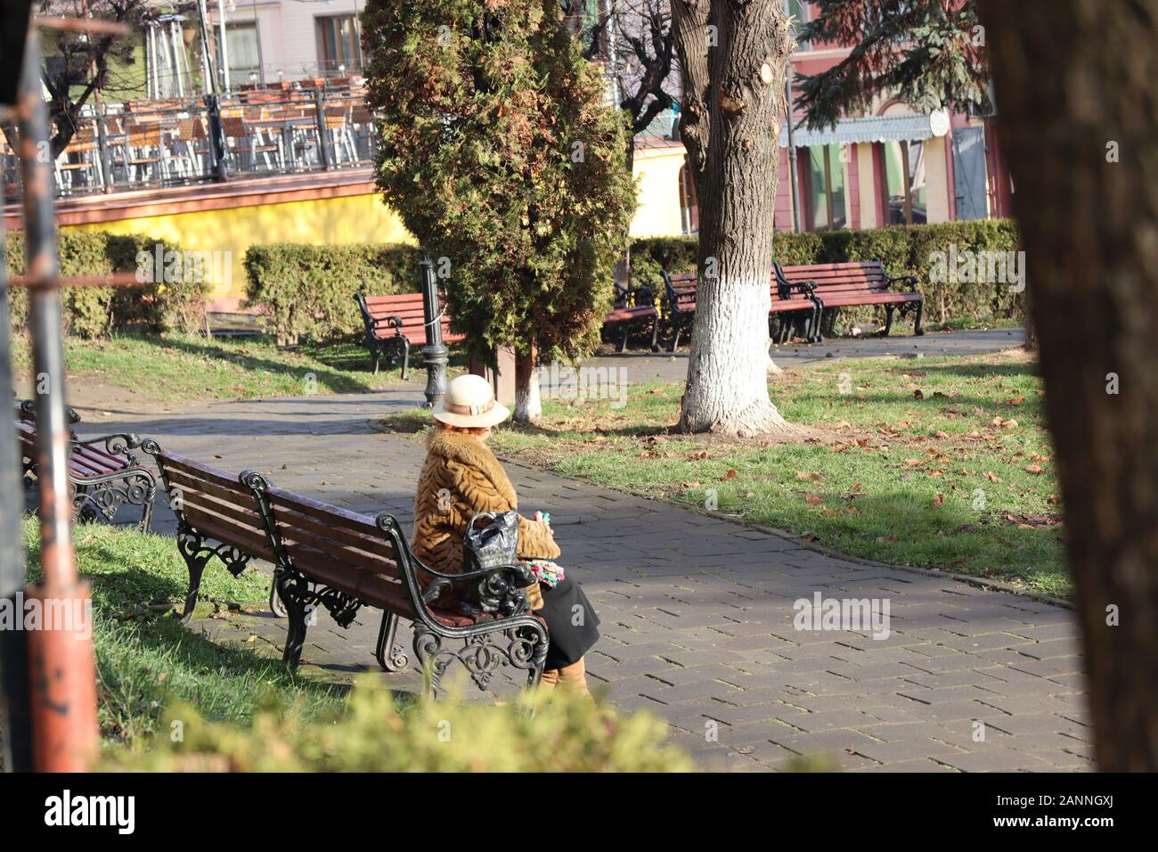 Signora Seduta Nel Parco, Romania Foto Stock