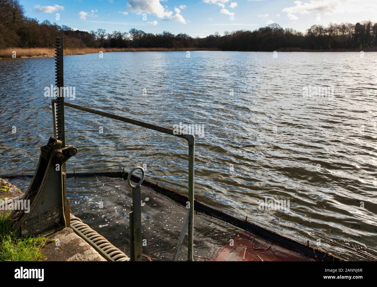 Sistema di gestione delle acque Burton Mills stagno nelle vicinanze del Petworth West Sussex sotto un bel cielo invernale Foto Stock