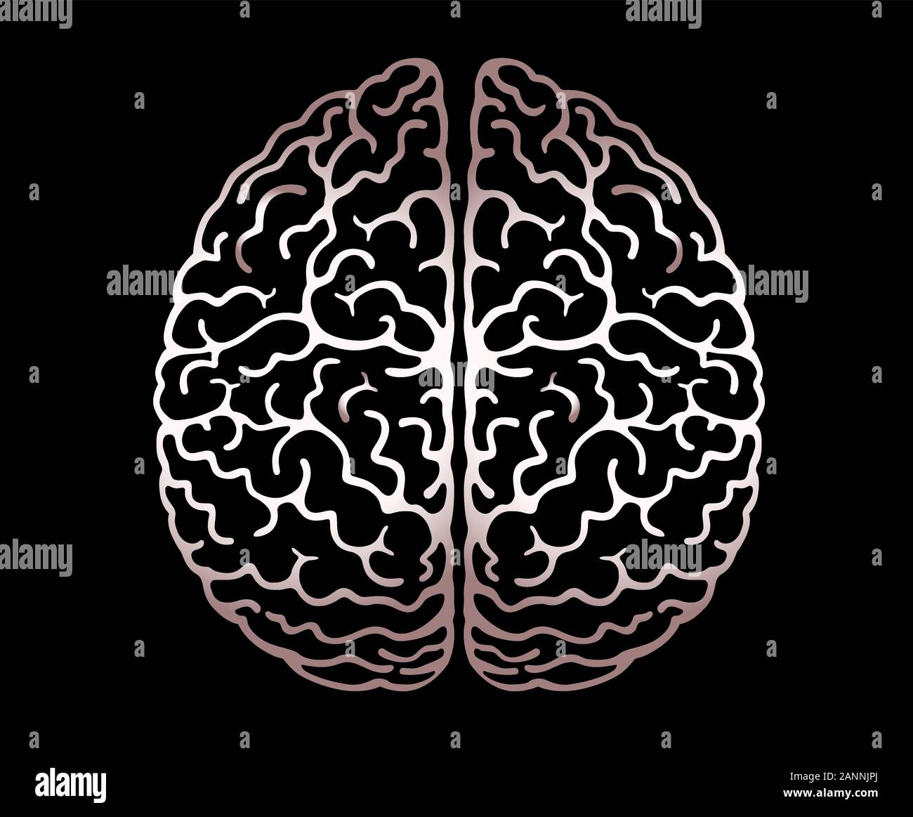 Profilo di vettore illustrazione del cervello umano su sfondo nero. Emisferi cerebrali, convoluzioni della mente il cervello, il cervello della piega. Vista da sopra, Illustrazione Vettoriale