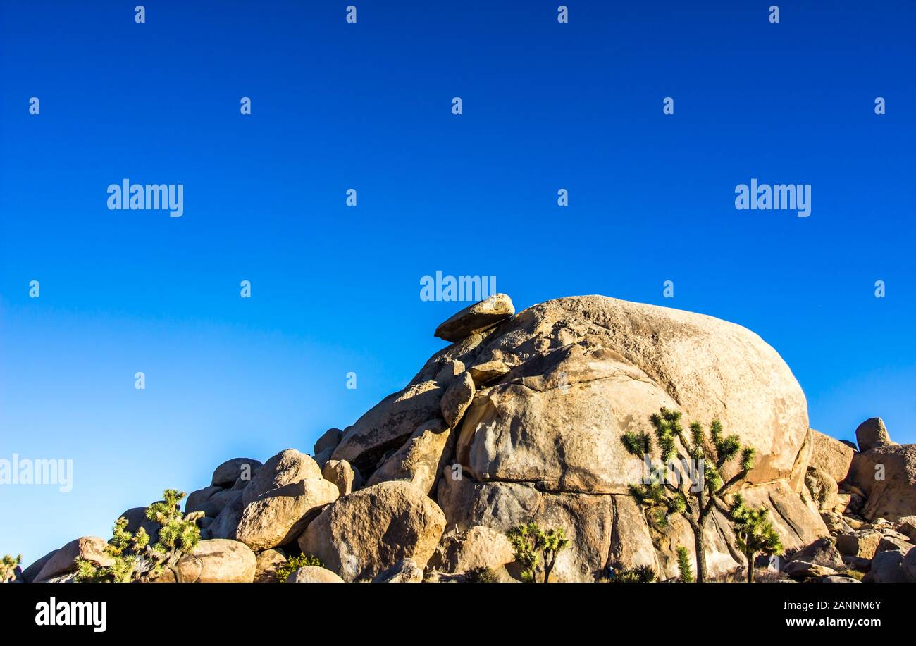 Formazione Di Roccia Liscia Con Alberi Di Yucca A Foreground Foto Stock
