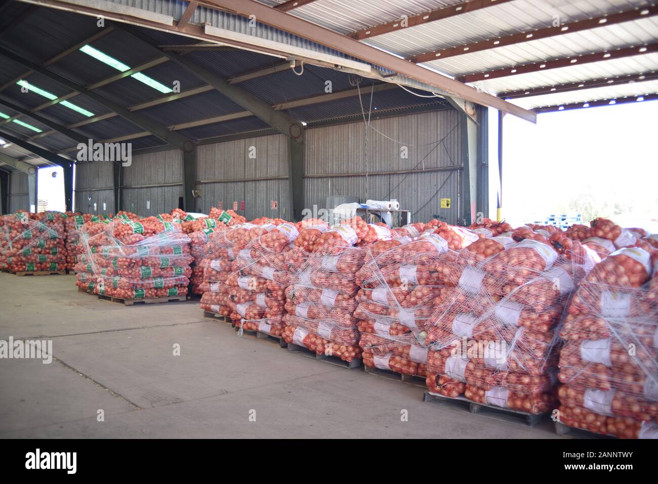 El Mirage, AZ. U.S.A. Il 4 maggio 2018. G-farm onion magazzino e spedizione per Ramona, San Bartolo e Margarita marche. Foto Stock
