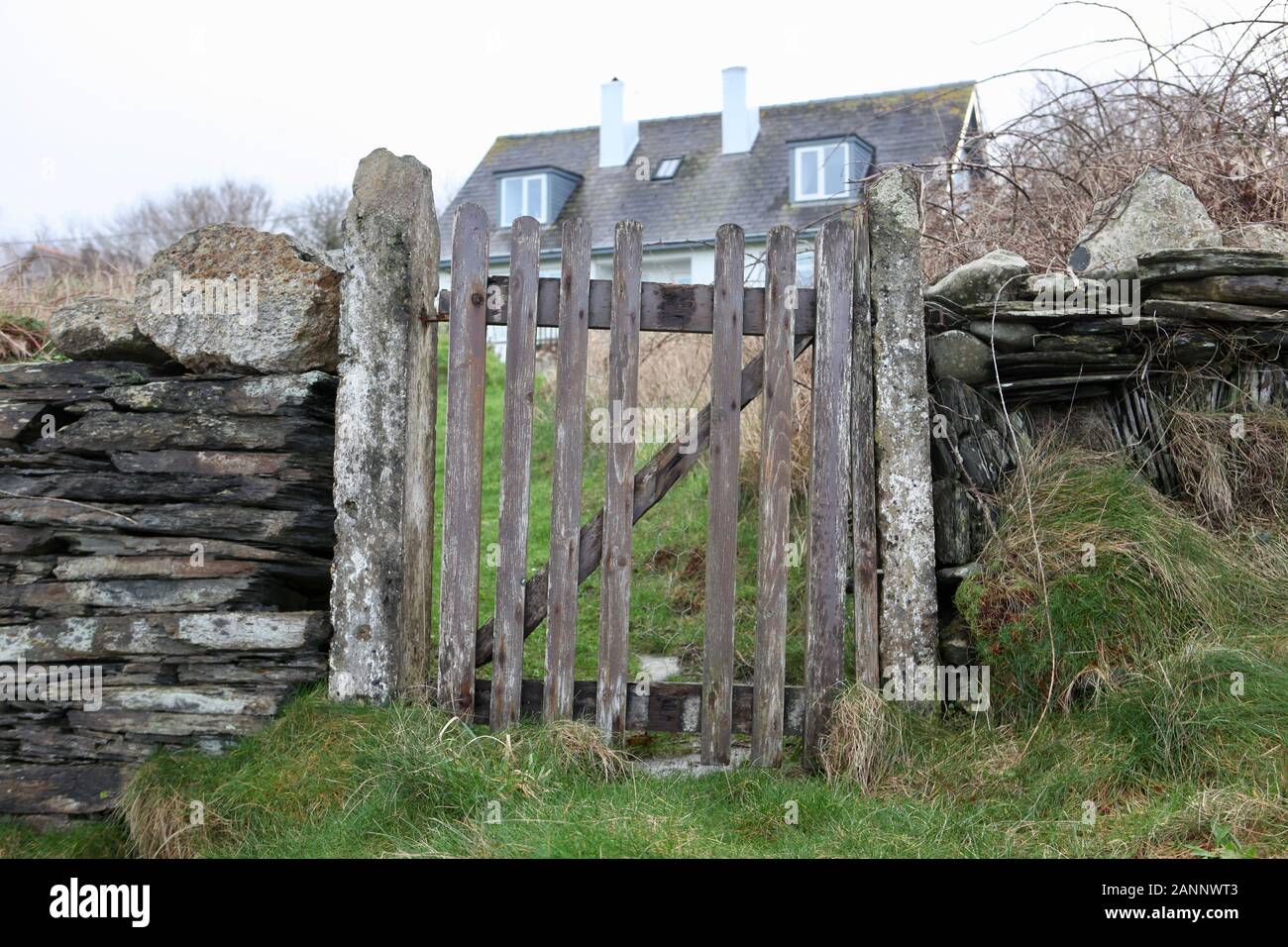 Porta giardino in legno, Newport, Pembrokeshire Foto Stock