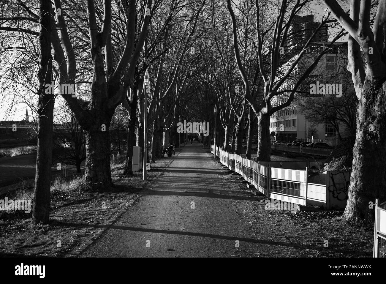 Sundown parkway in inverno in bianco e nero Foto Stock