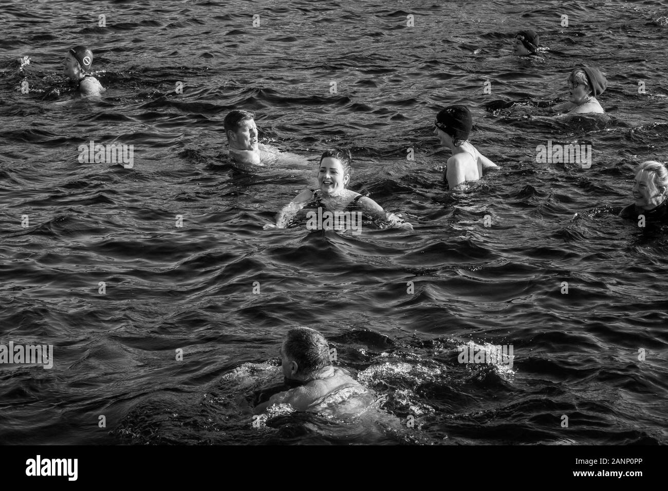 La gente di nuoto selvatici il giorno di nuovi anni Foto Stock