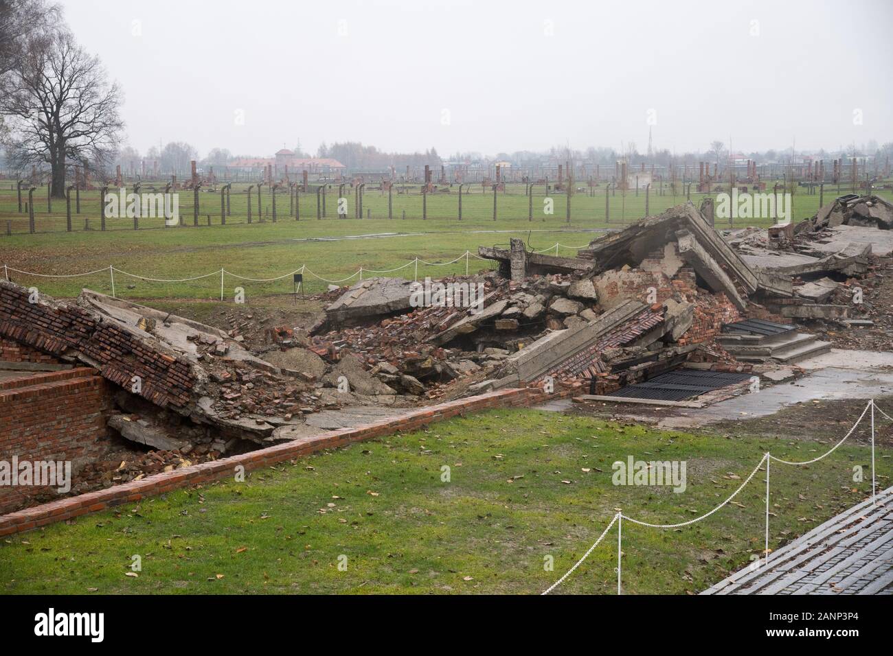 Rovine della camera a gas e crematorio III nella Germania nazista Konzentrationslager Auschwitz II Birkenau (Auschwitz II Birkenau sterminio camp) in Nazi G Foto Stock