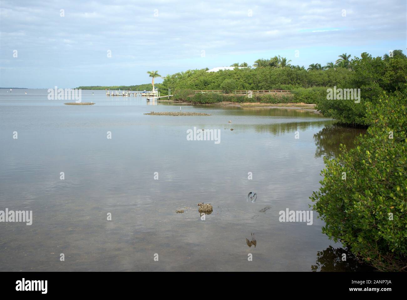 Bokeelia Pine Island Florida Usa . Foto Stock