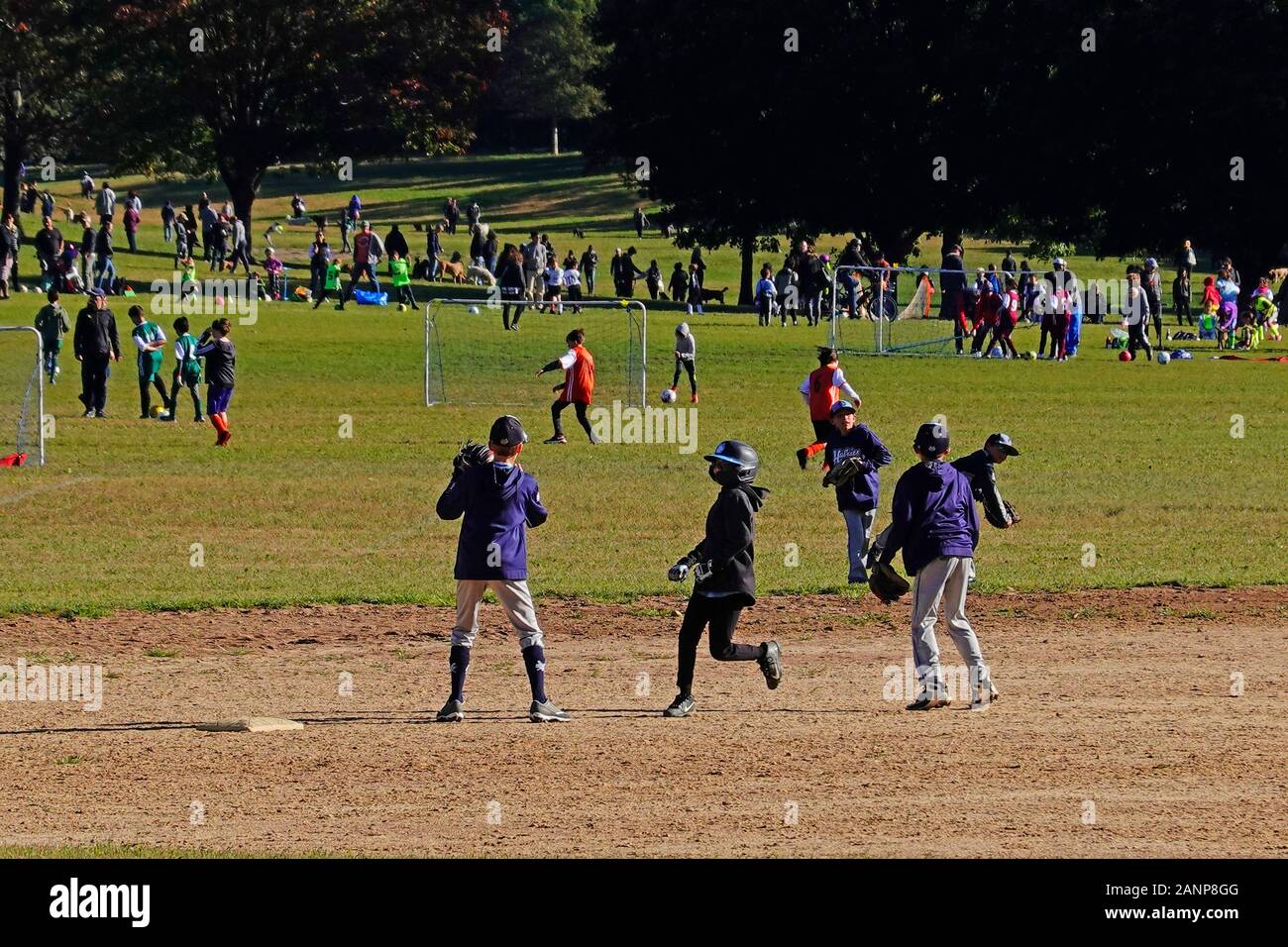 Partita di baseball dei bambini al Prospect Park Brooklyn New York Foto Stock