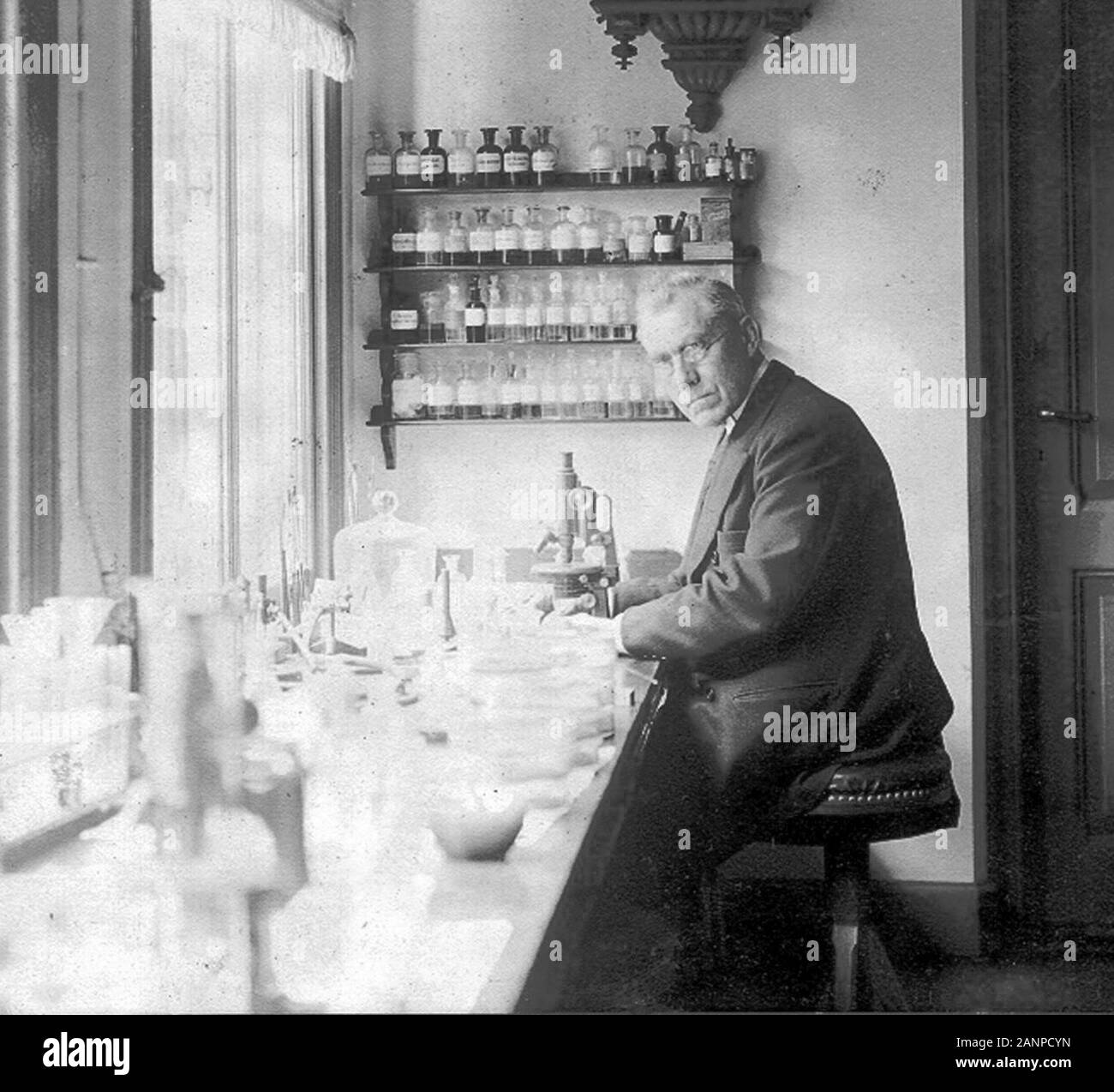 Martinus Willem Beijerinck (1851 - 1931) microbiologo olandese e botanico Foto Stock
