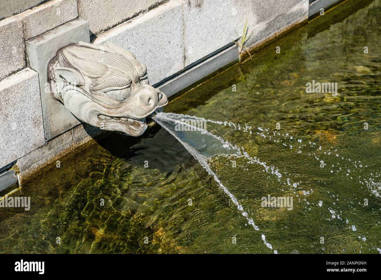 Dragon acqua beccuccio closeup nel tempio buddista di Hong Kong Foto Stock