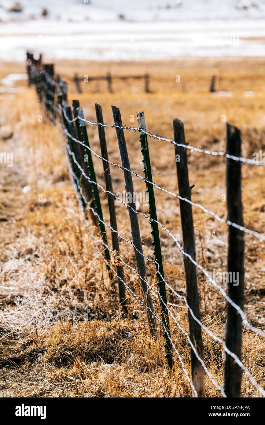 Filo spinato e recinzione di legno posti; Ranch in Colorado centrale; USA Foto Stock