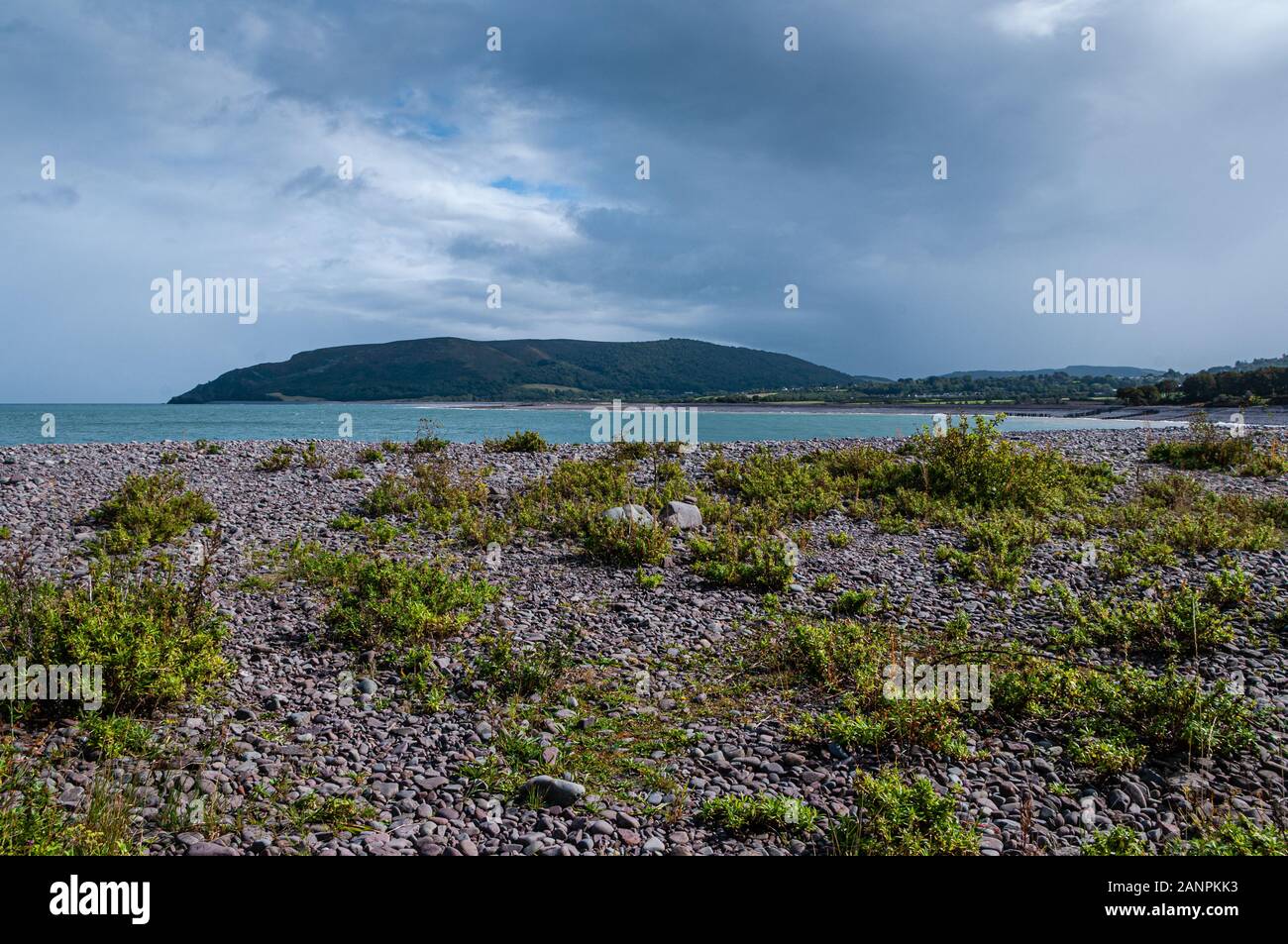 Vista Collina Bossington, Somerset, dalla ghiaia di Porlock Weir con la sua interessante di sale-tolerant vegetazione costiera. Foto Stock