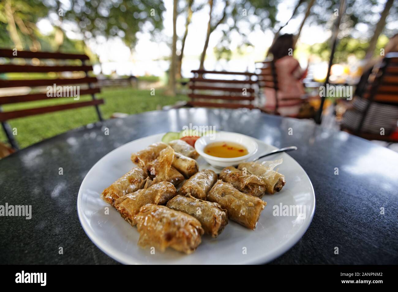 Involtini primavera fritti in un ristorante all'aperto vicino al lago Hoan Kiem di Hanoi, Vietnam Foto Stock