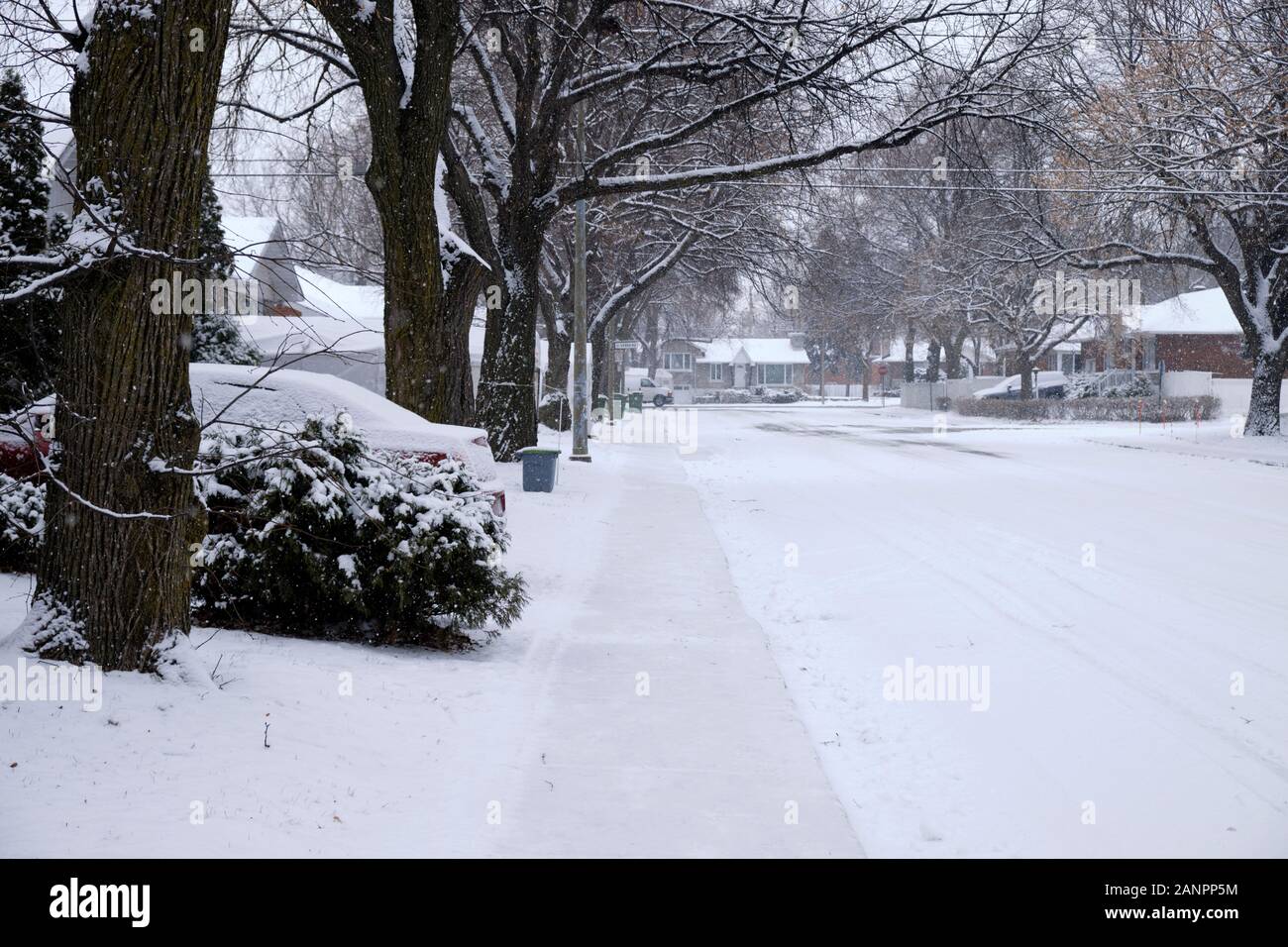 East End della città di Montreal street e il marciapiede coperto di neve durante una tempesta di neve incorniciato da alberi sfrondato Foto Stock