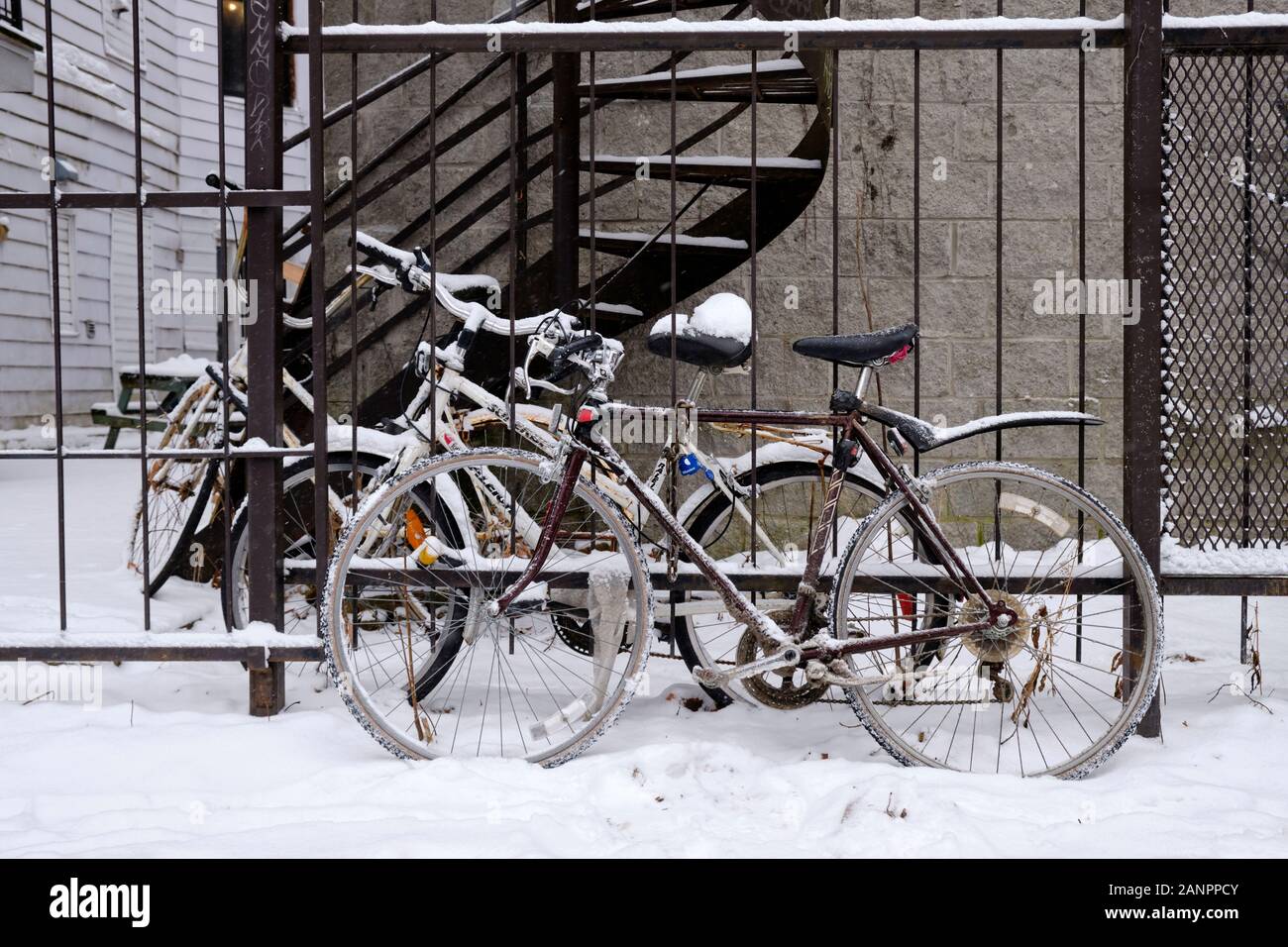 Biciclette bloccato da una recinzione, coperto di neve durante una nevicata invernale in Montreal sull'altopiano Foto Stock
